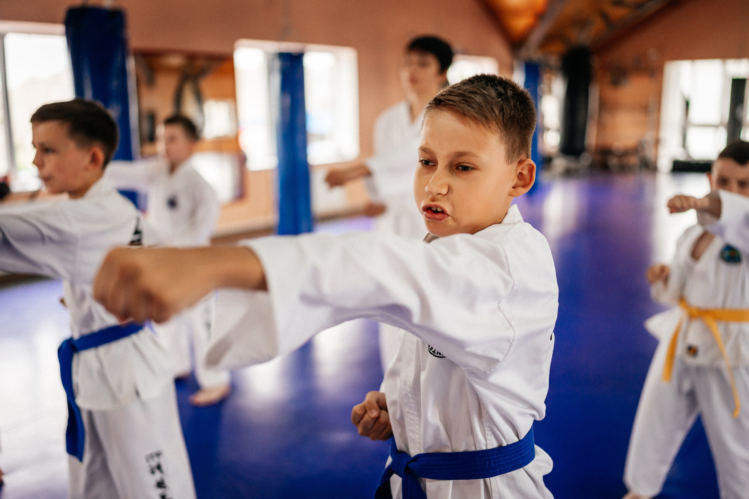 Съемка спортивных мероприятий. Taekwondo/2023. Семейный фотограф в Москве Ирина Жур