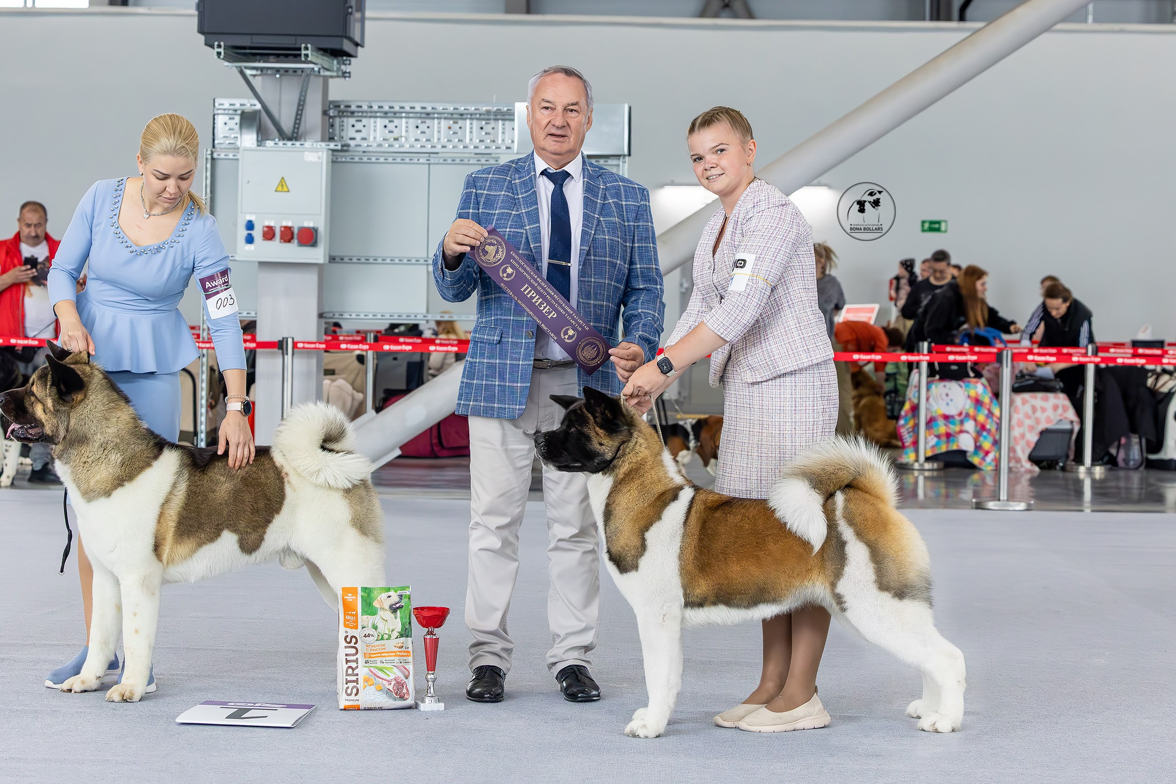 22 июня 2025, Выставка РКФ, г. Казань. Htykk_photo