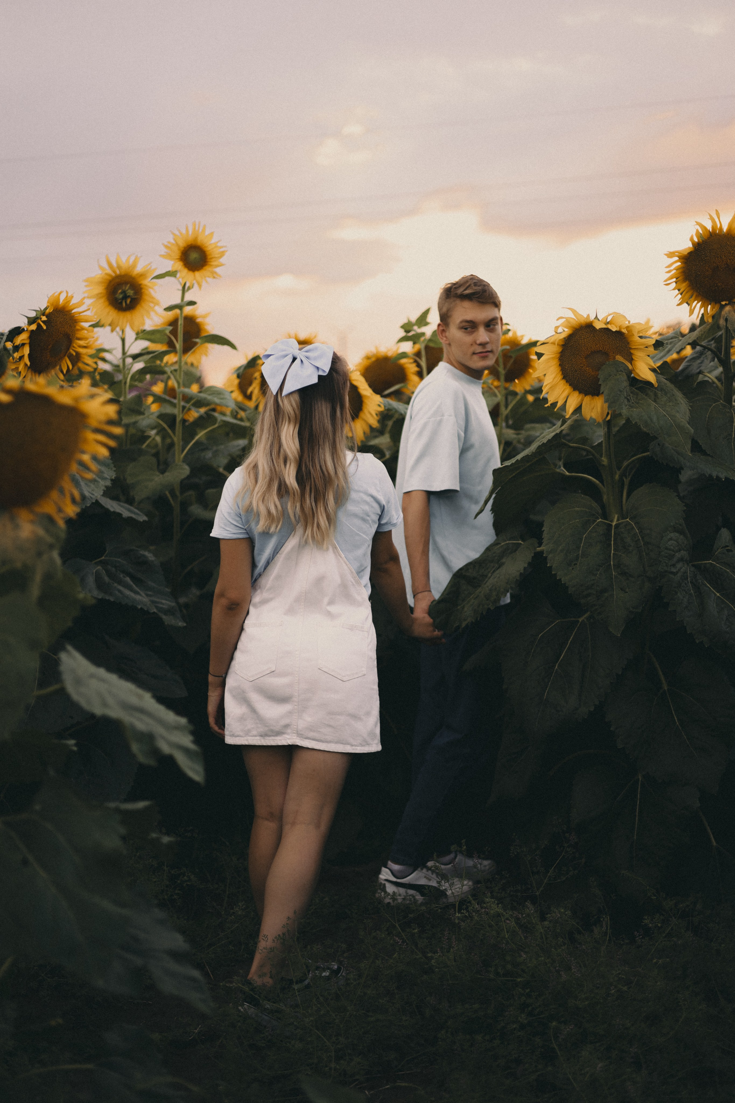 Михаил и Валерия | Подсолнухи. Фотограф Мария Лаенко