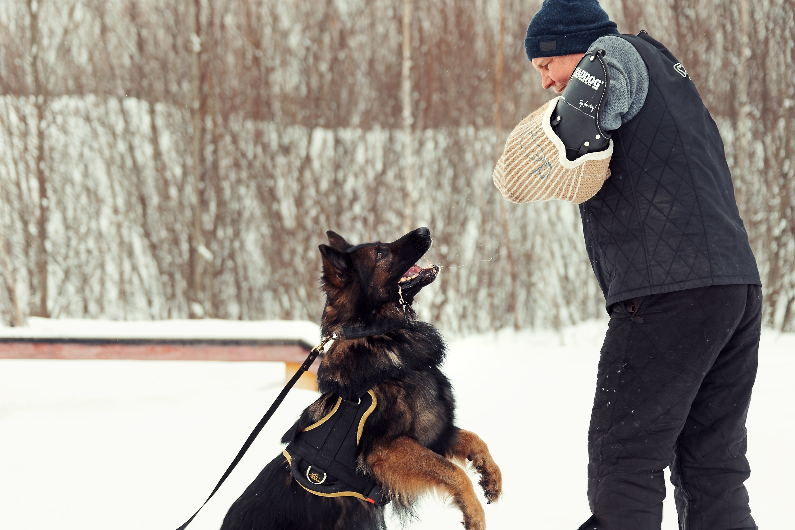 Репортажная съемка. Фотограф-анималист Нижний Новгород