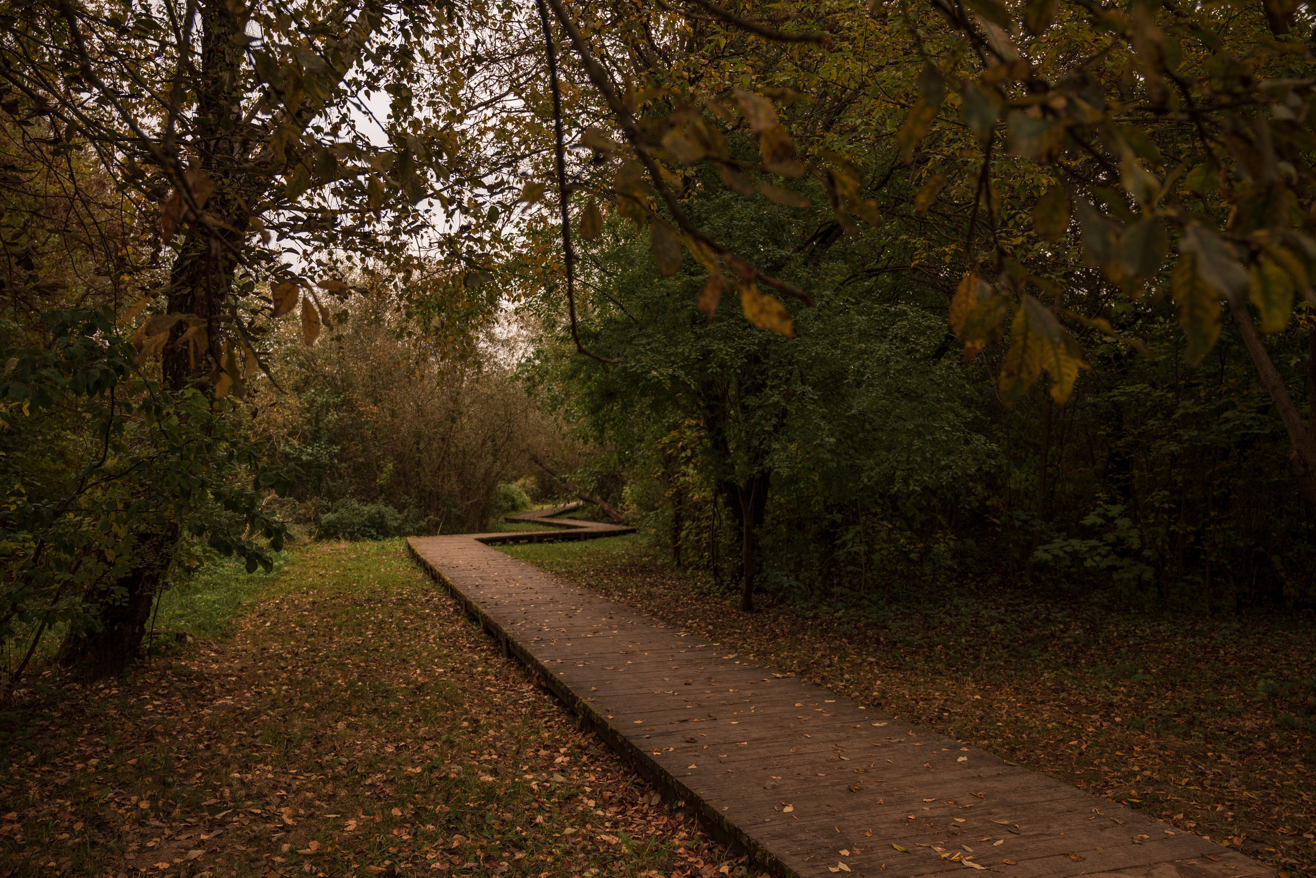 Места. Фотограф в Минске Дарья Кончакова