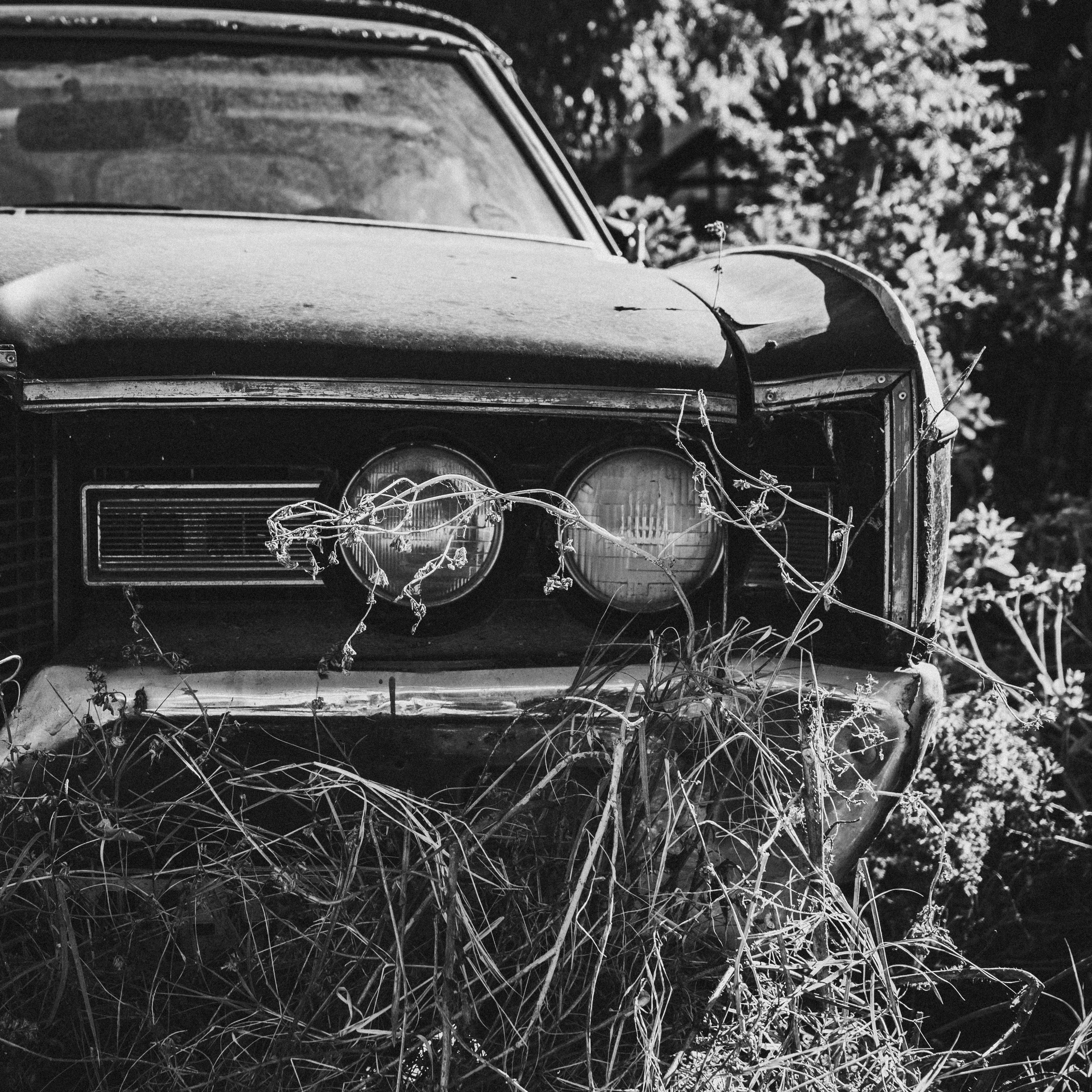 Путешествия. Коммерческий фотограф Николай Кандалов