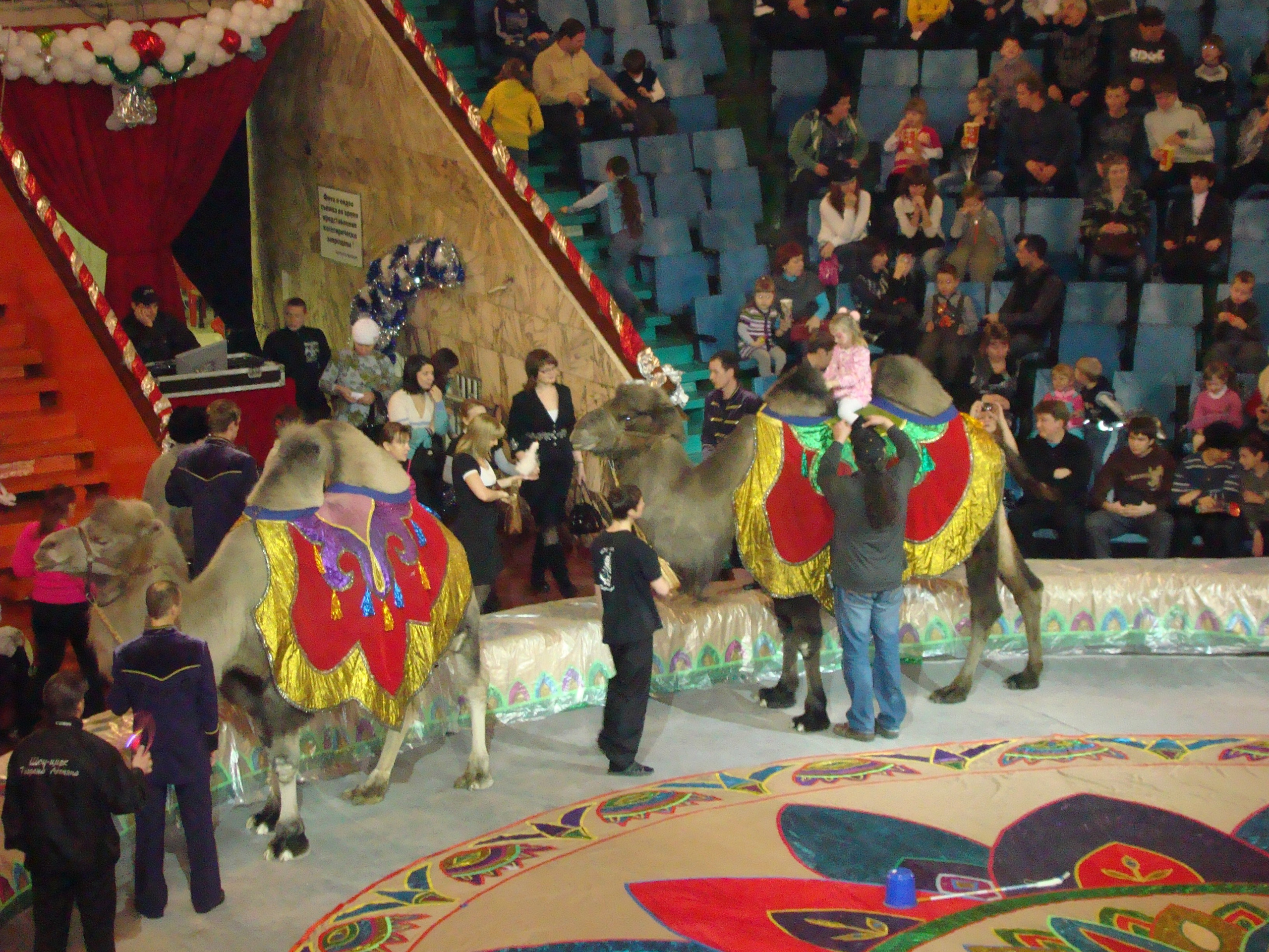 Новый Год. Семейный, Свадебный фотограф СПБ Питер— Романова Екатерина