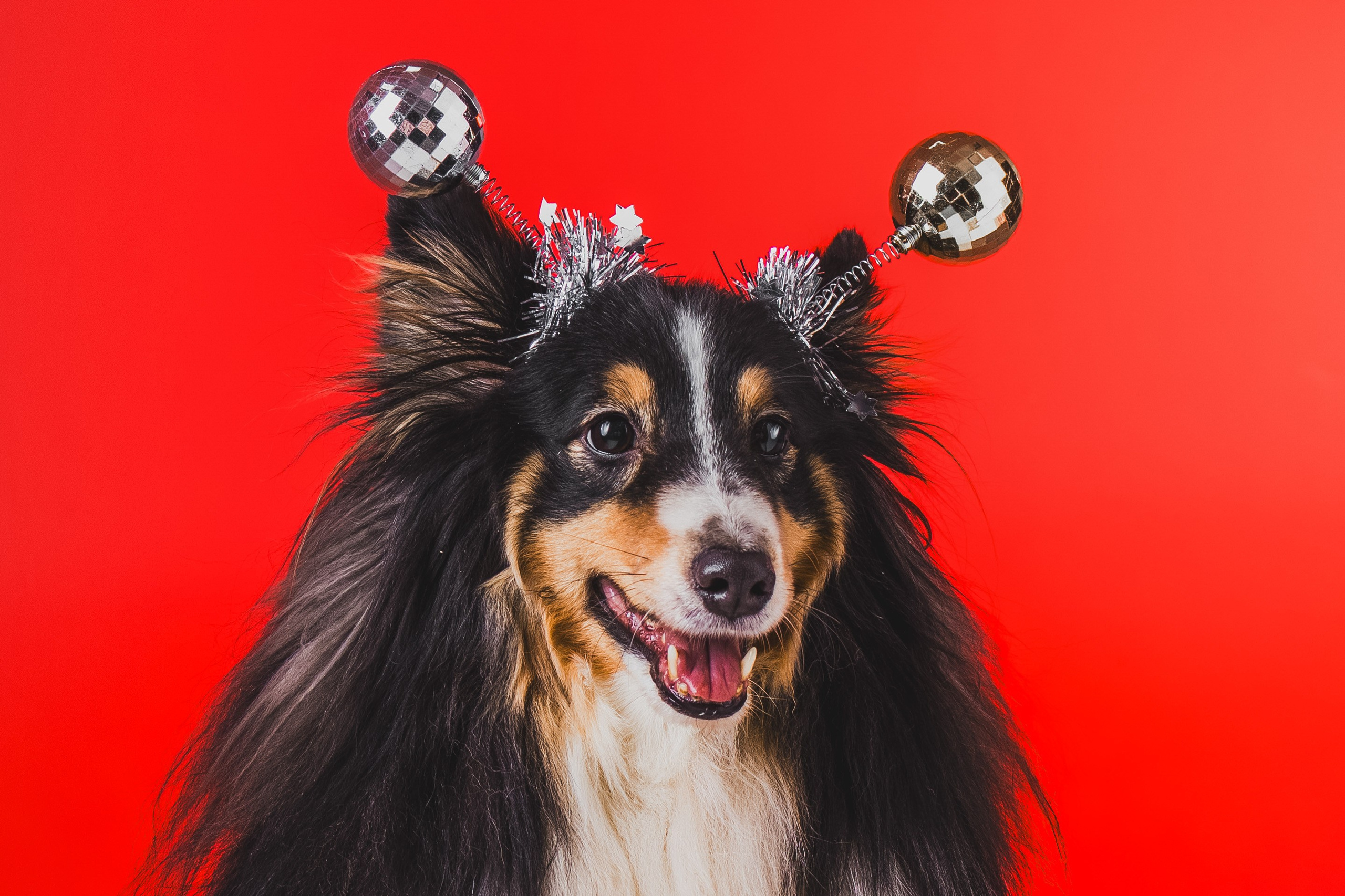 Воркшоп по импульсному свету