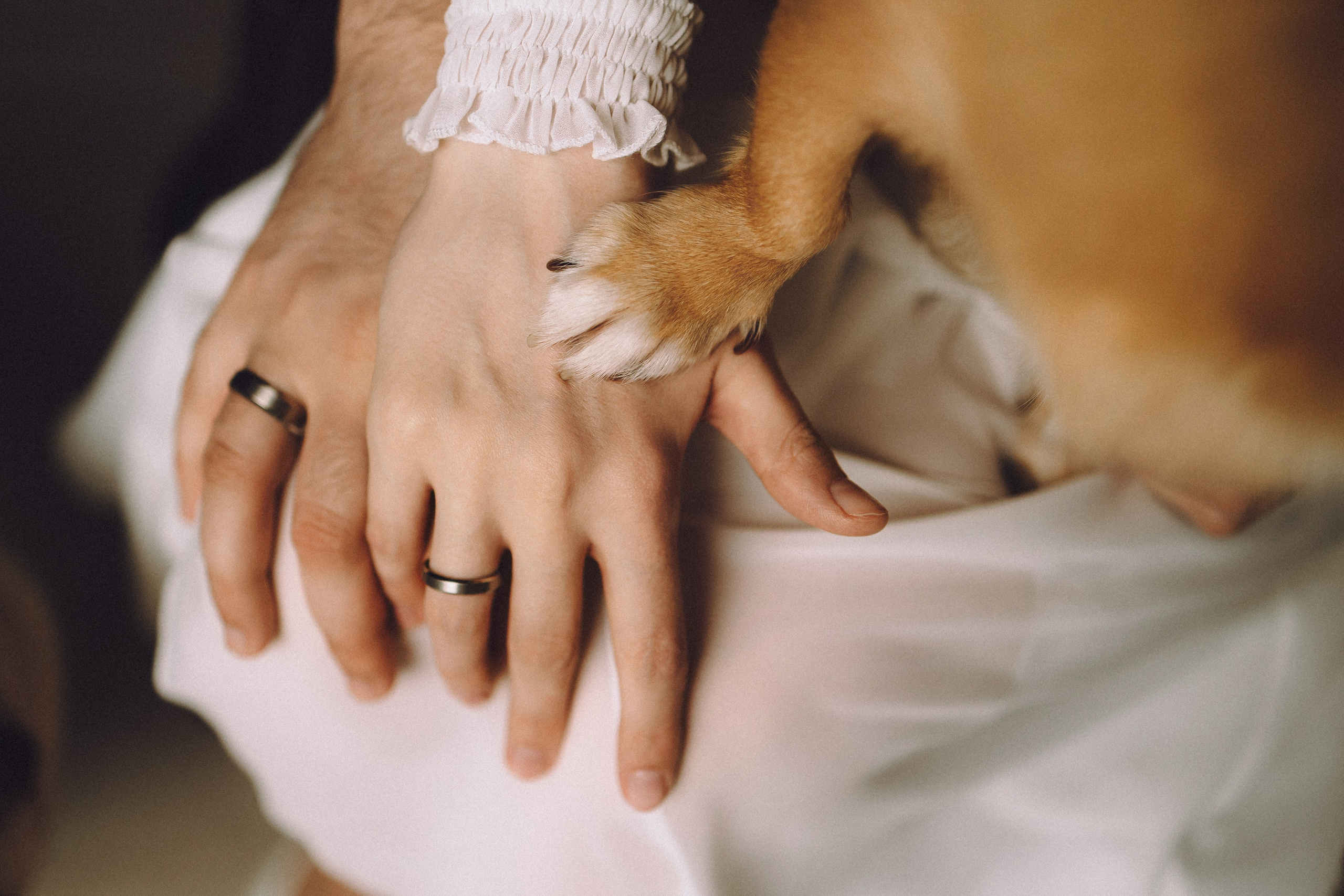 Денис, Василина, Гаврюша и Кнопка