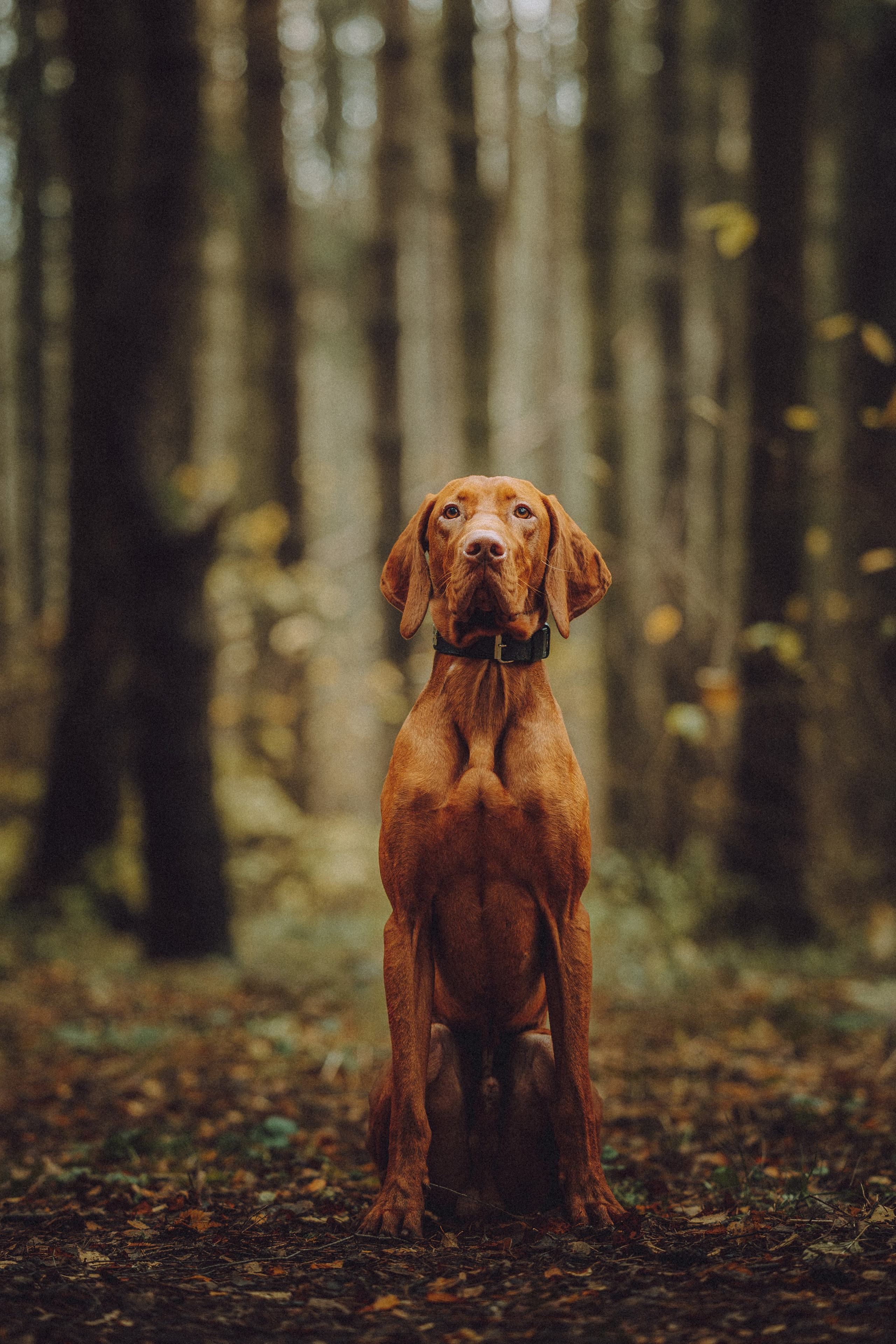 Дориан и его семья