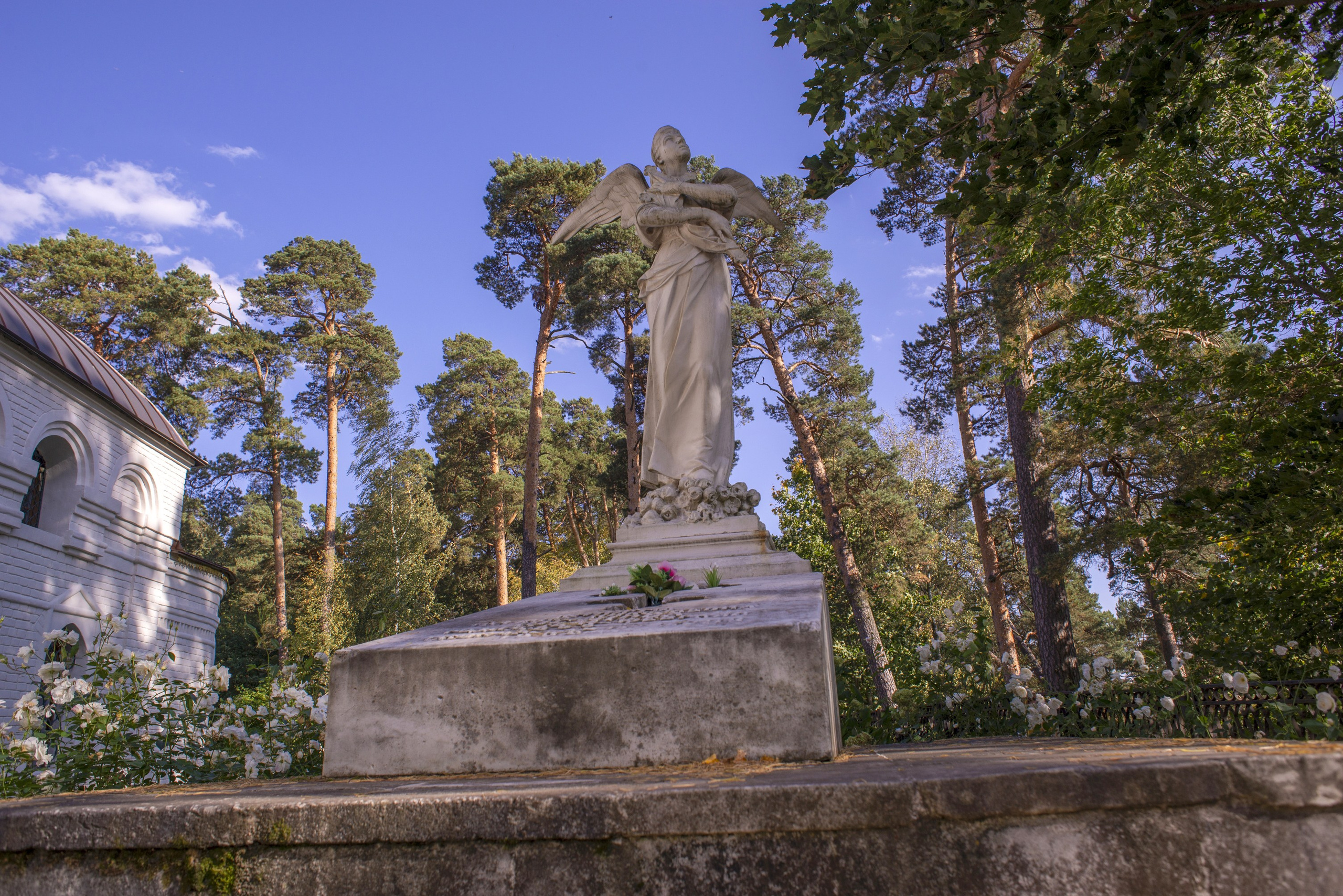 Архангельское. Сентябрь 2023. Игорь Жучков. Россия увиденная глазами путешествующего фотографа