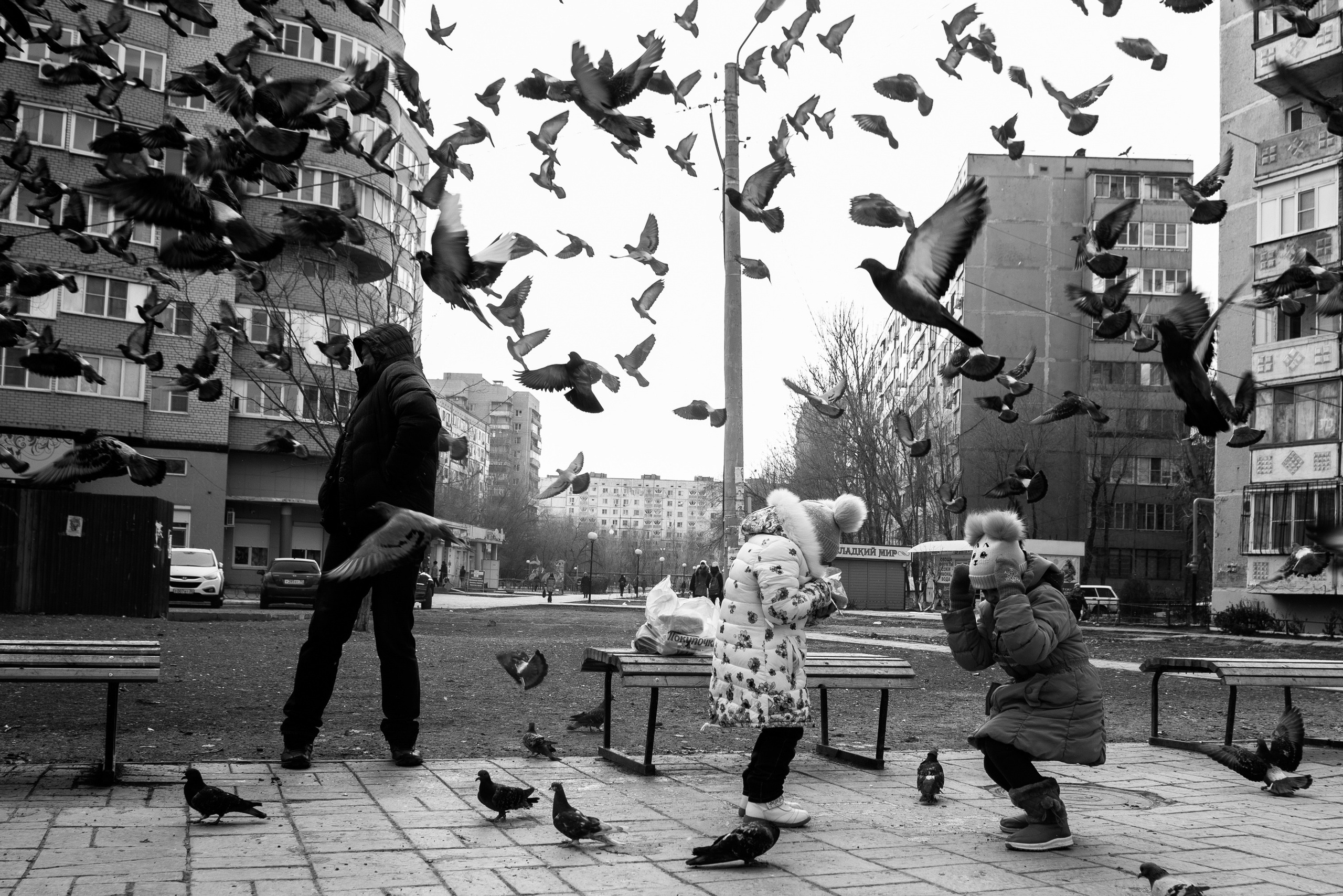 3 Юго-восток. Фотограф Анатолий Деникин