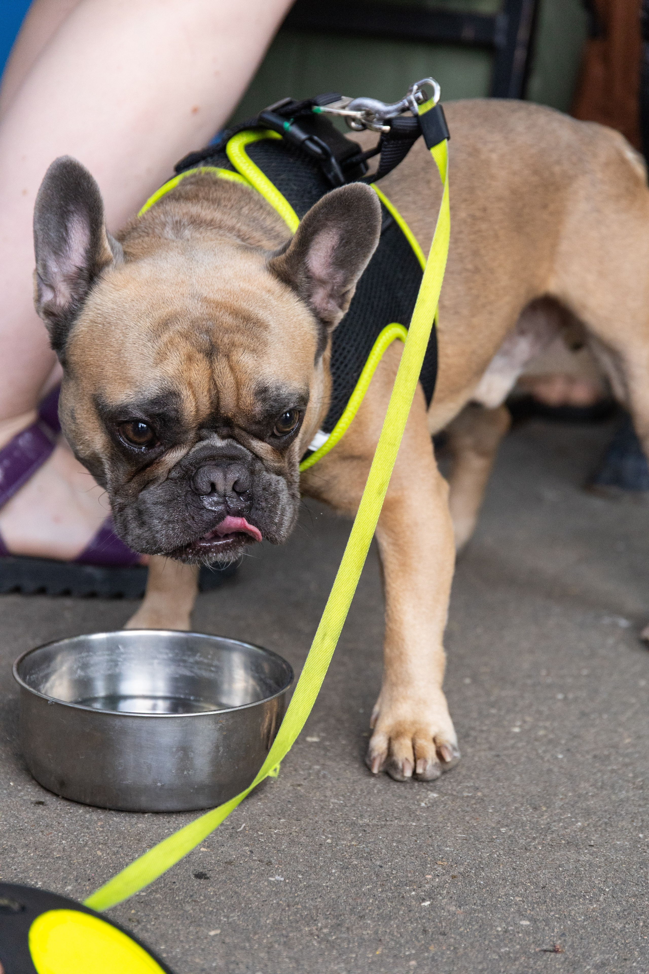 День Доброты. Выпускные фотоальбомы в Москве и Московской области