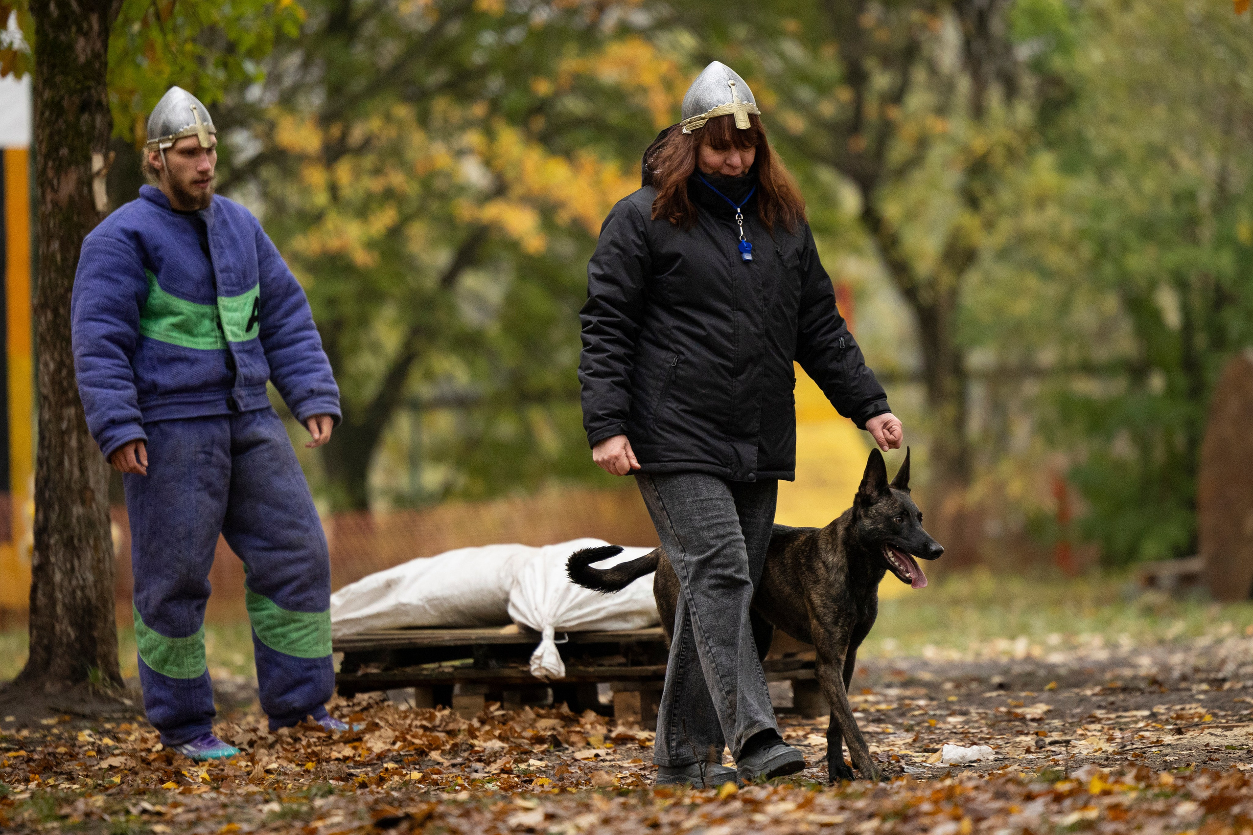 Соревнования по Мондьорингу г. Вологда. Фотограф-анималист Анна Маринич