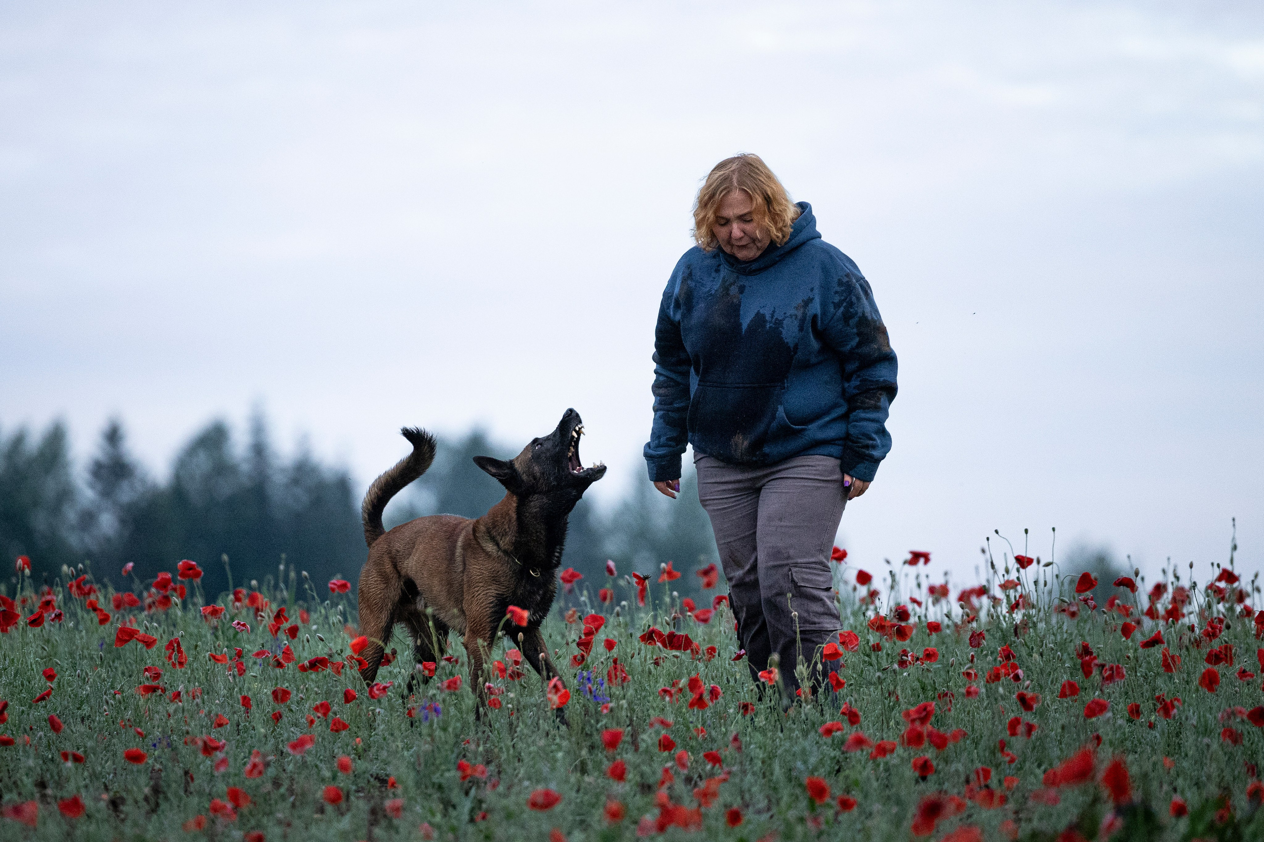 Маковое поле. Фотограф-анималист Анна Маринич