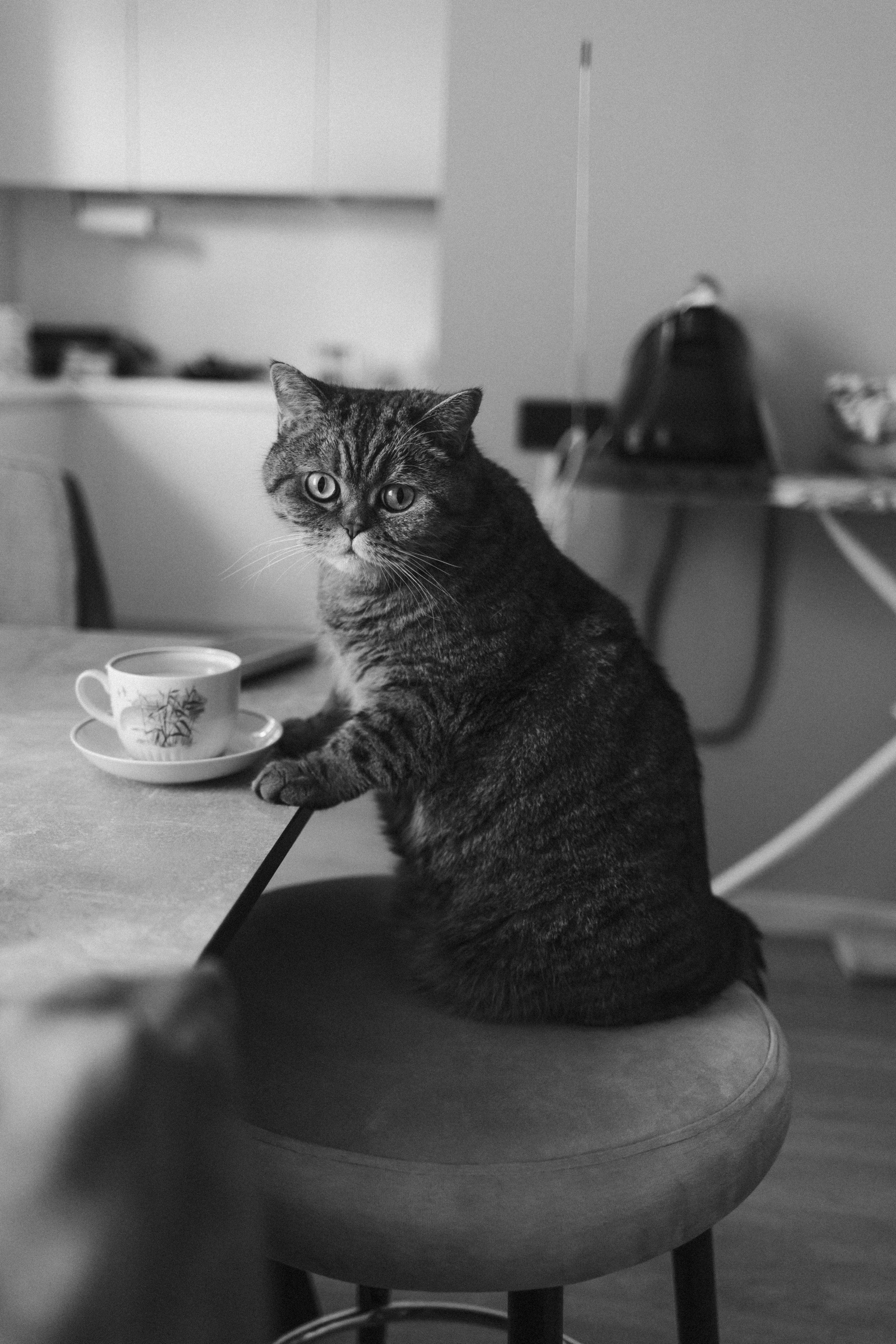 Самый первый месяц жизни. Семейный фотограф в Москве