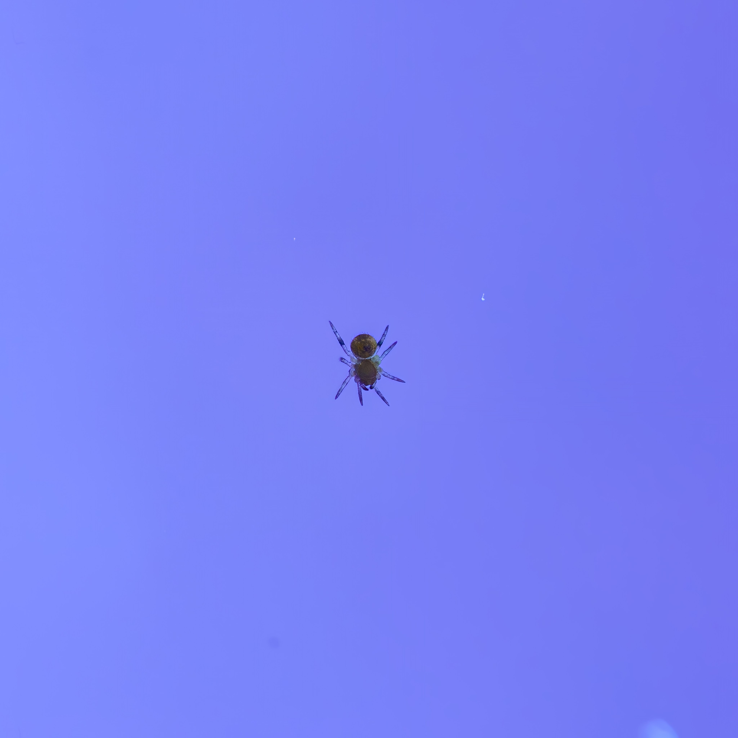 Macro — Макро