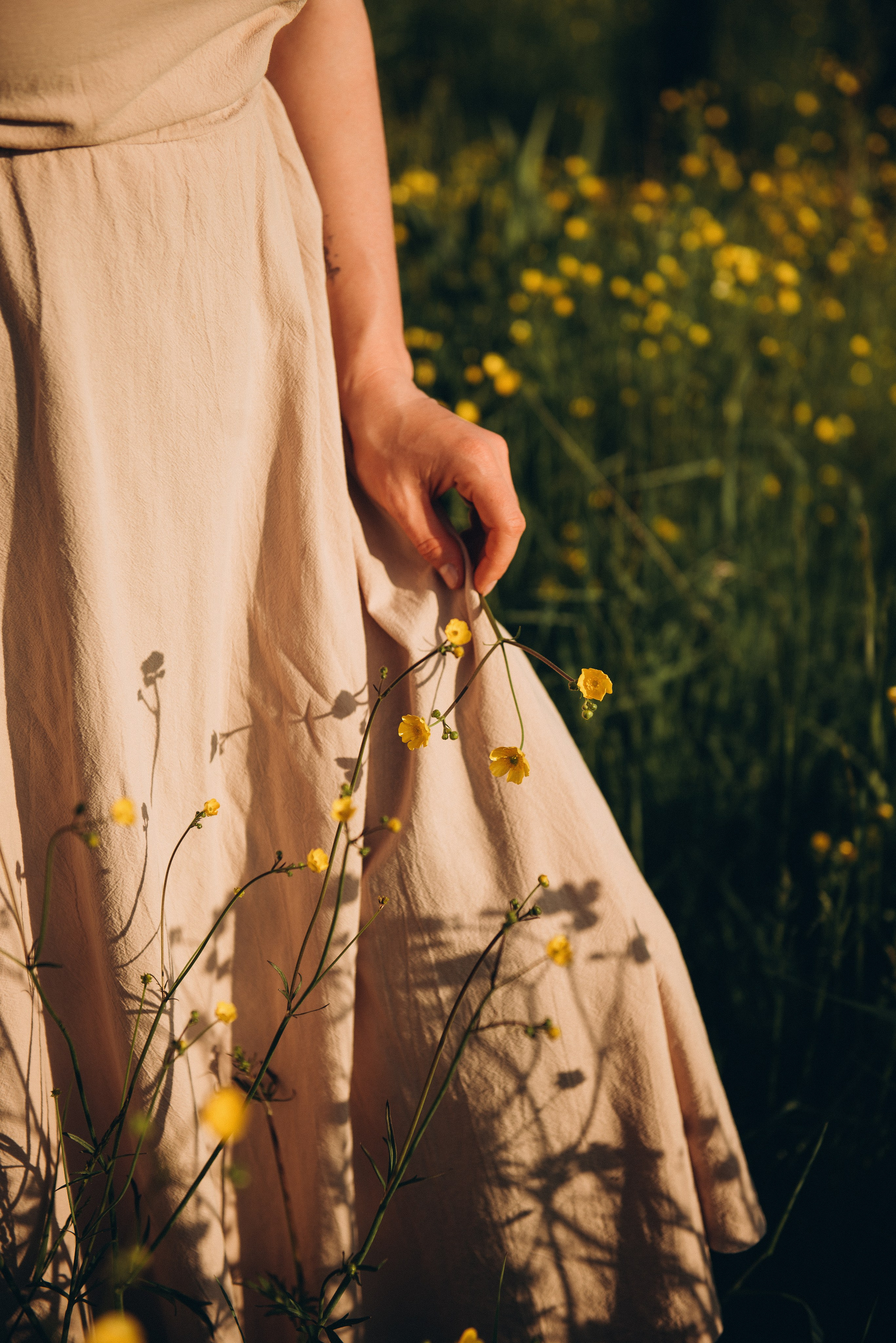 Маша в поле люпинов. Ирина Метелица фотограф на Шикотане