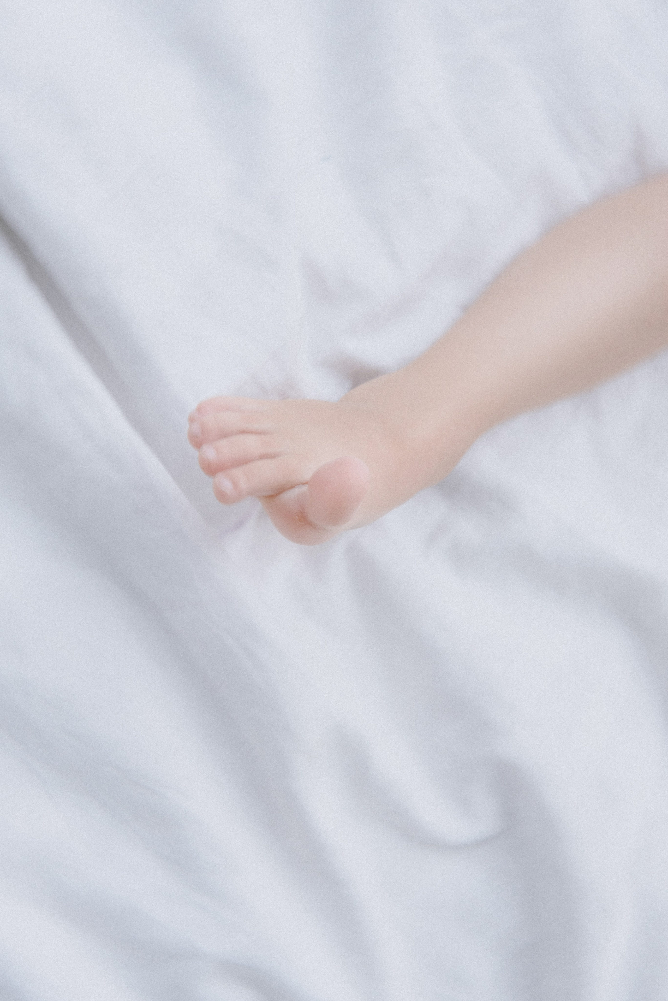 Алексей & Марина & Анюта & Даня. Юлия Соколовская Фотограф Москва Красногорск