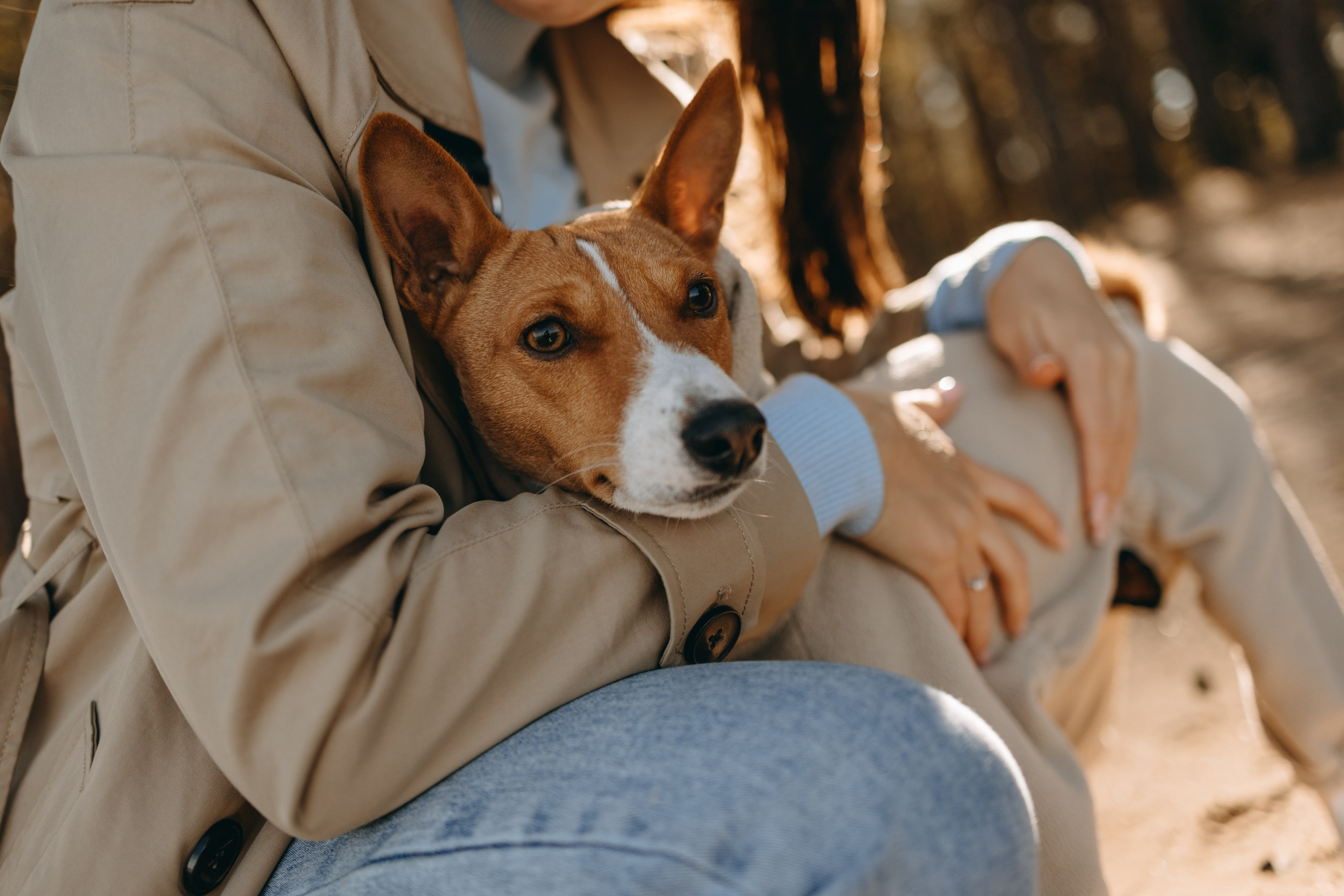 Алиса и Лео. Фотограф — Анималист | Санкт-Петербург