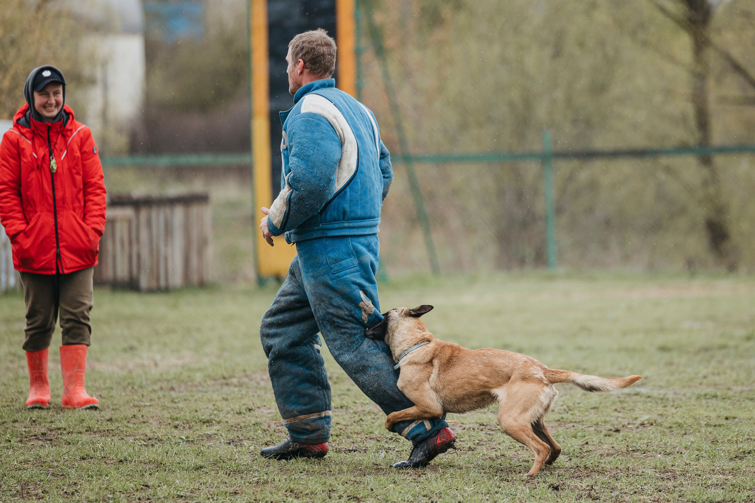 09.05.25 Вологда соревнования. Фотограф-анималист Анна Маринич