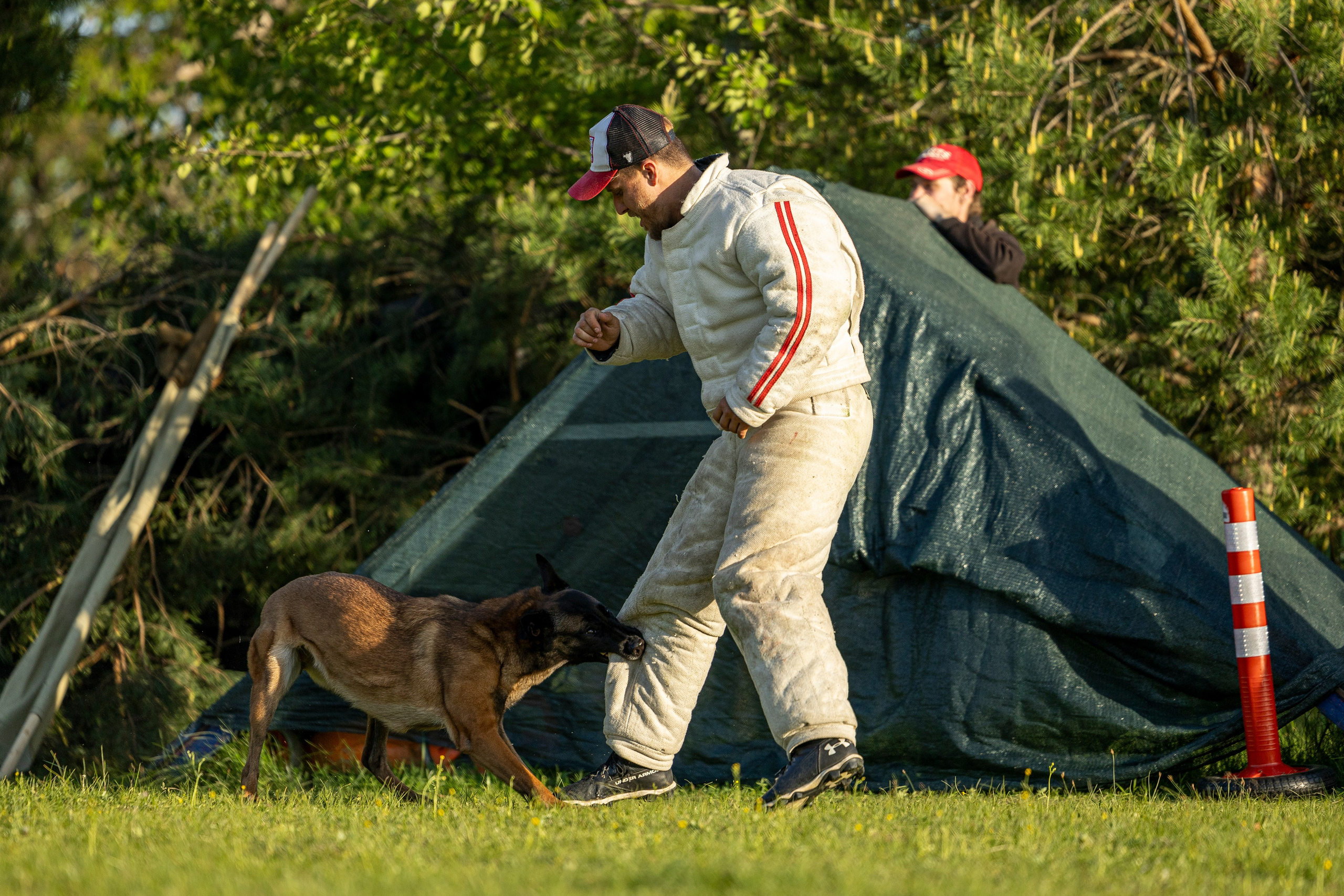 Испытания по мондьорингу в Нижнем Новгороде. Фотограф-анималист Анна Маринич