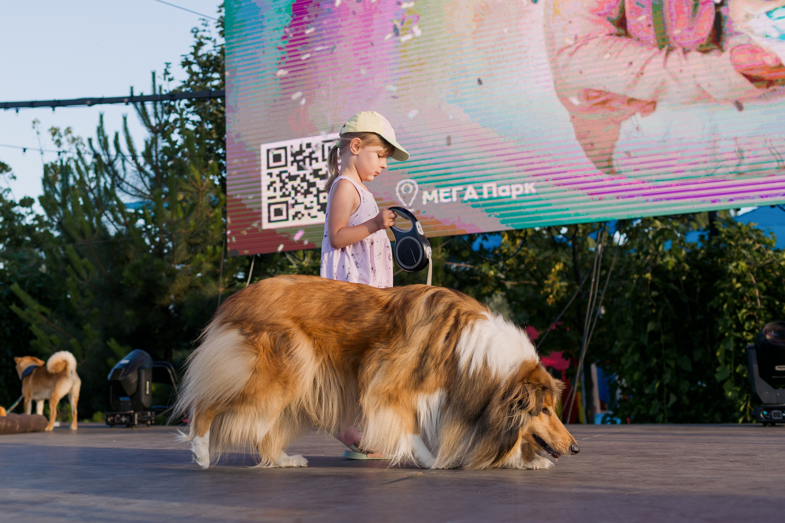 Dog Fest 2024. Главная