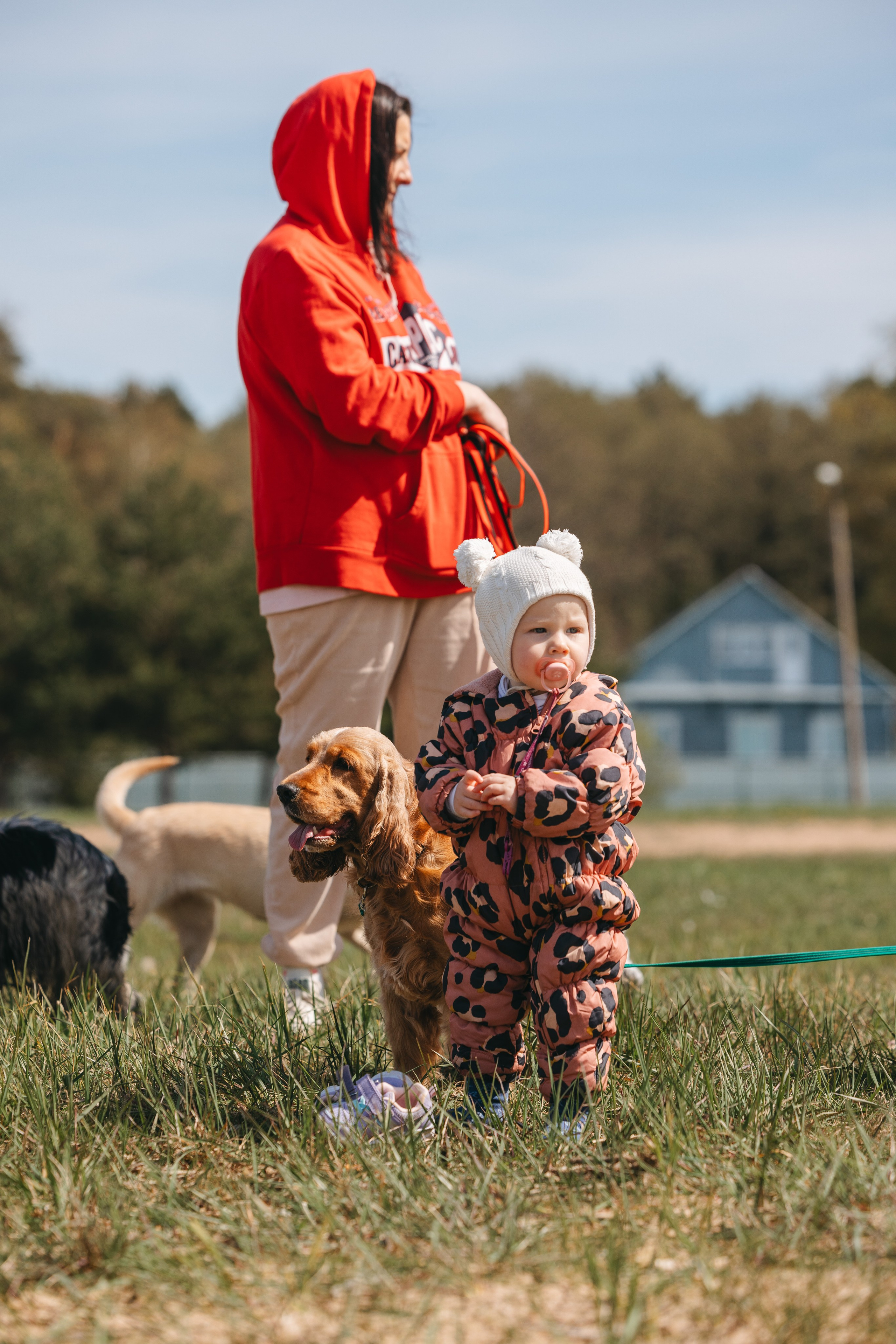 Спанимания. Фотограф анималист Осипчикова Мария