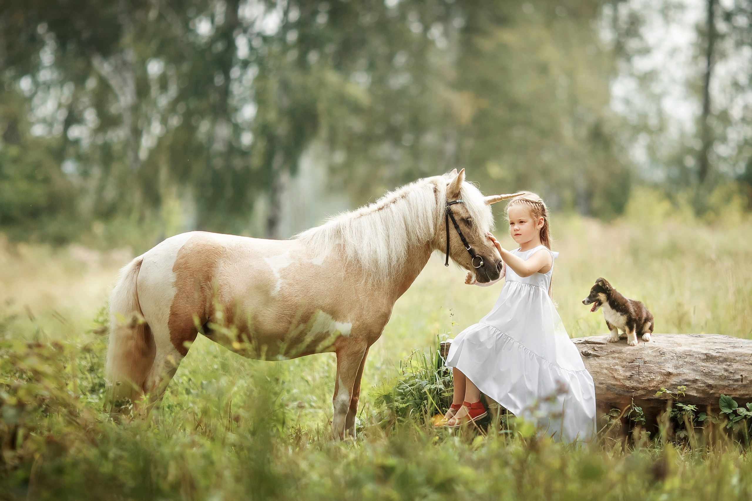 Семейные. Сказочный фотограф фотопроекты фототуры в Новосибирске и на Алтае
