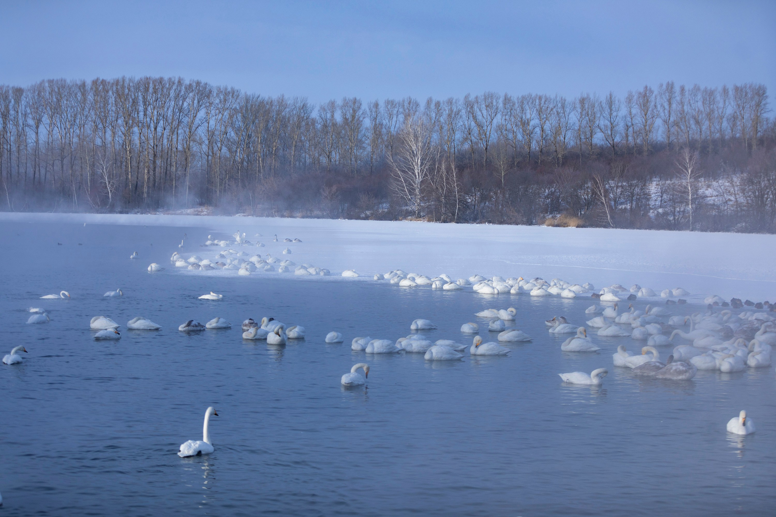 Алтай в декабре. Марина Захарова — Фотограф. Москва / Marina Zakharova — Photographer