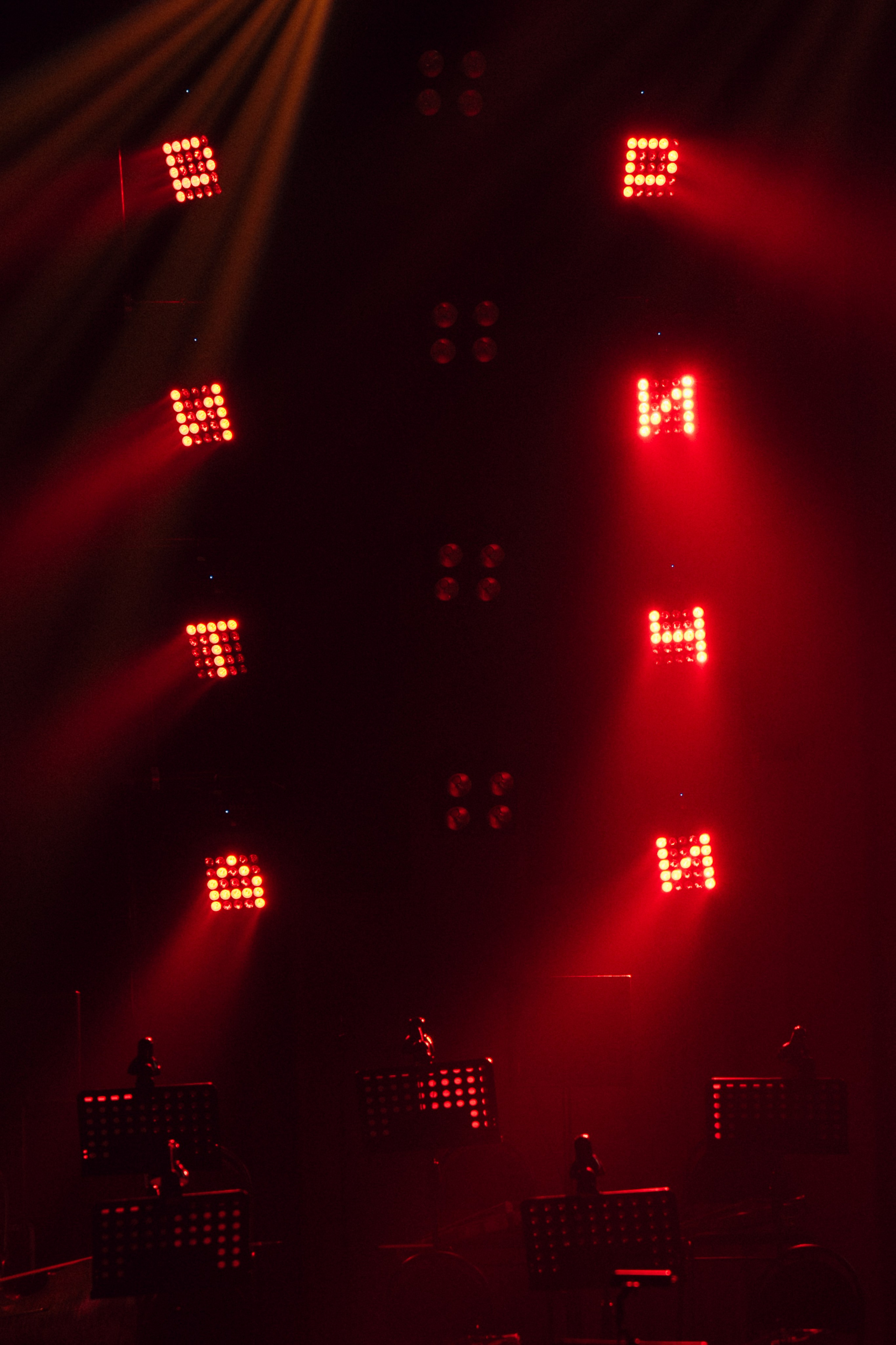 Концерт «ТИТРЫ»: Рита Ричи и оркестр Ильи Филиппова 15.02.25. Свадебный фотограф в Краснодаре и Сочи Винидиктова Екатерина