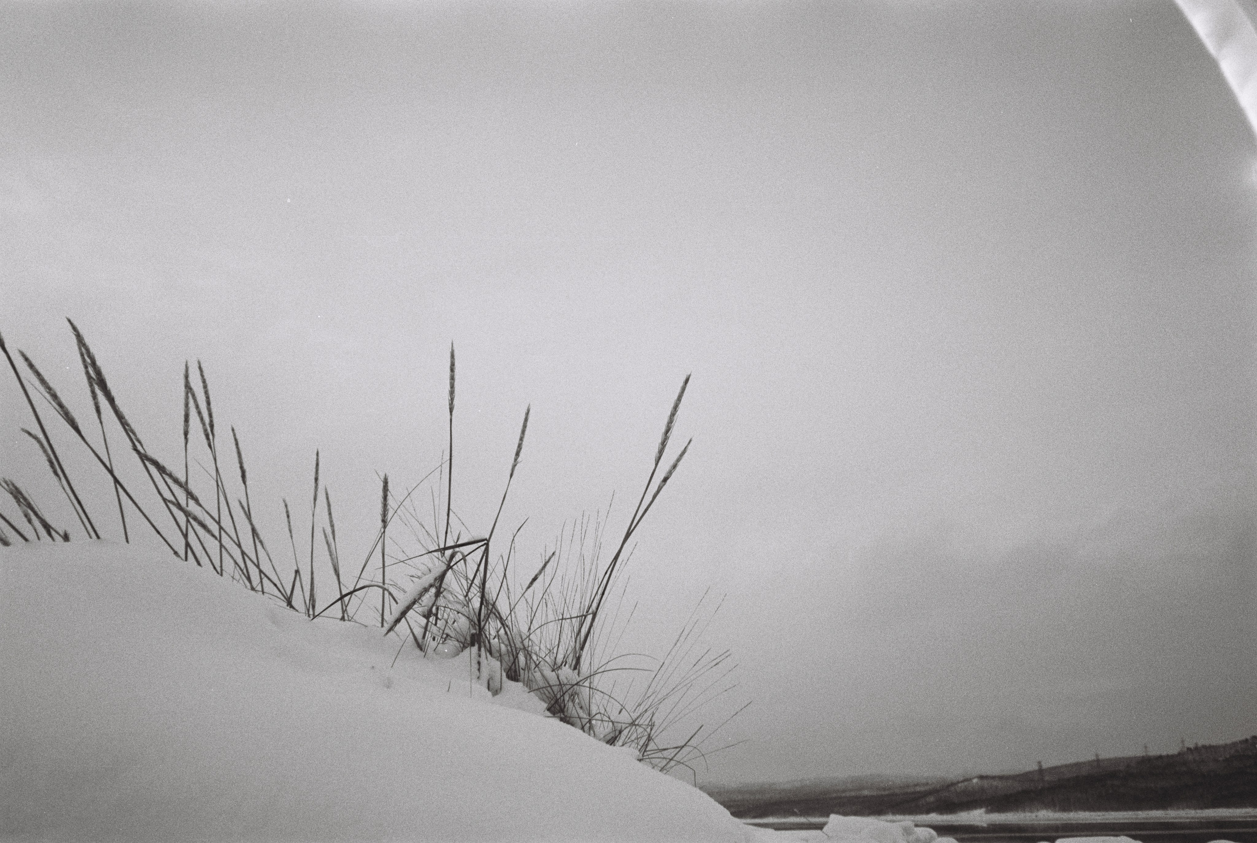 Пленка. Фотограф в Мурманске Полина Аленовская