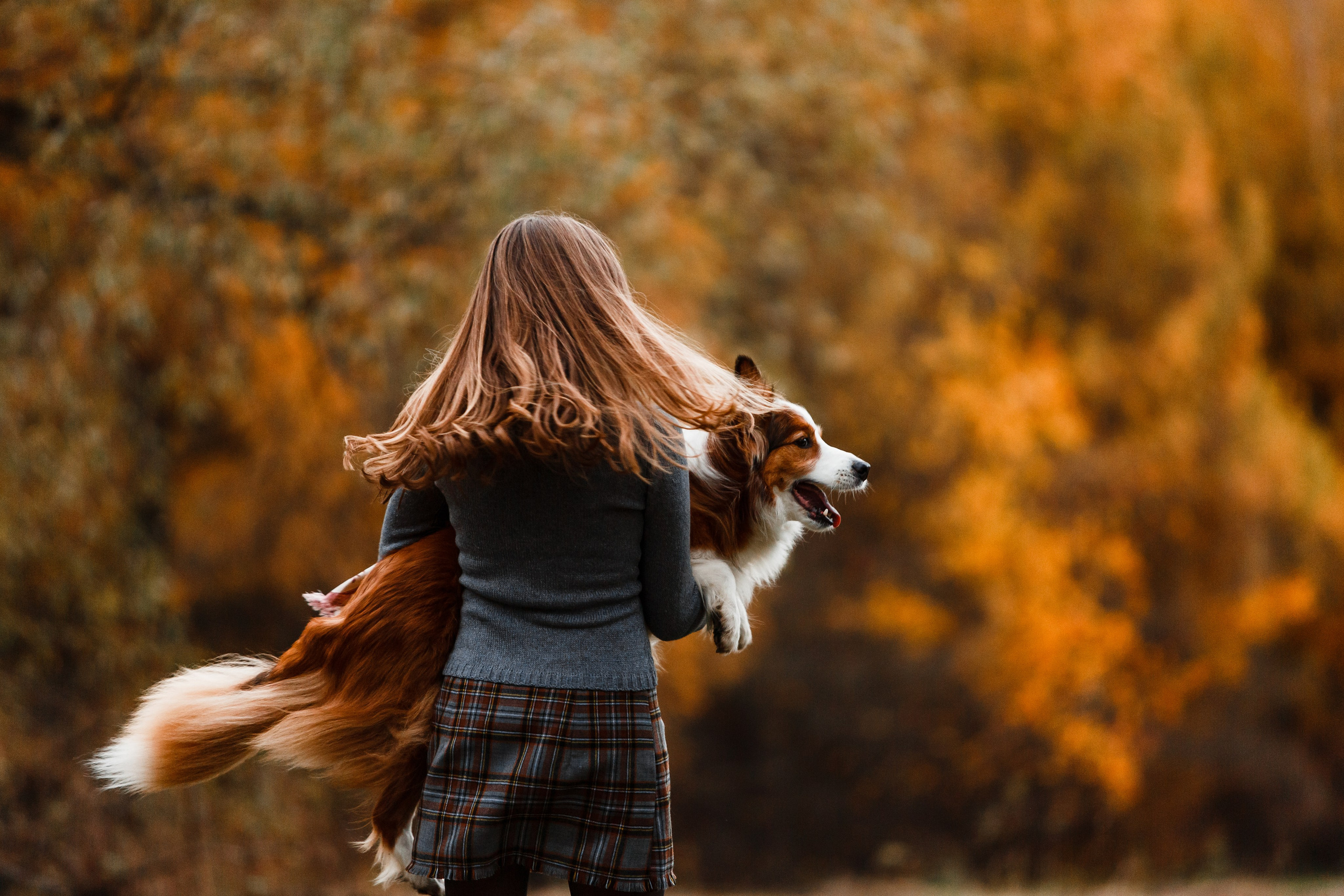Анималистика. Главная