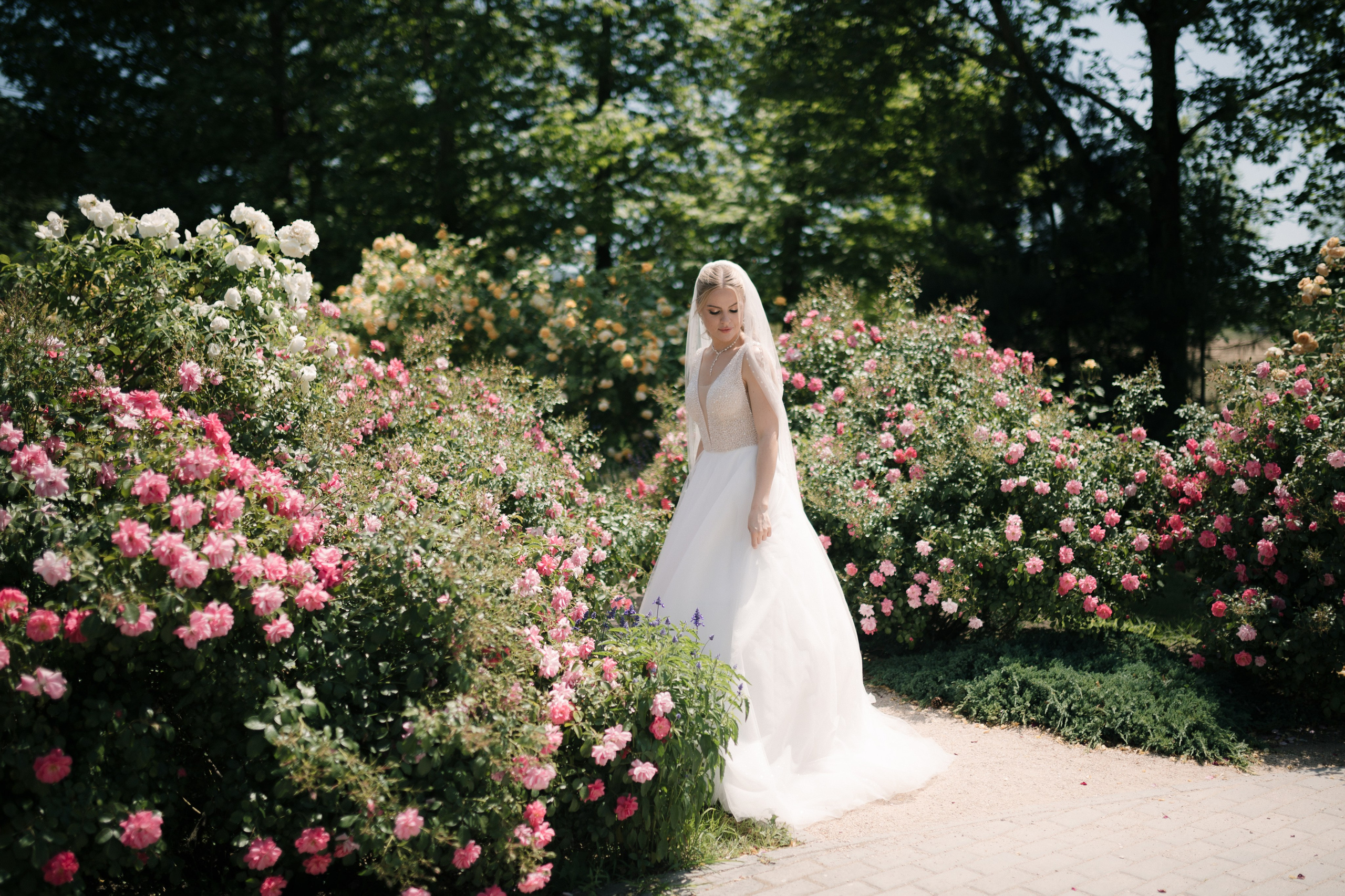 Свадебные. Свадебный и семейный фотограф в Севастополе и Крыму Алина Зорина