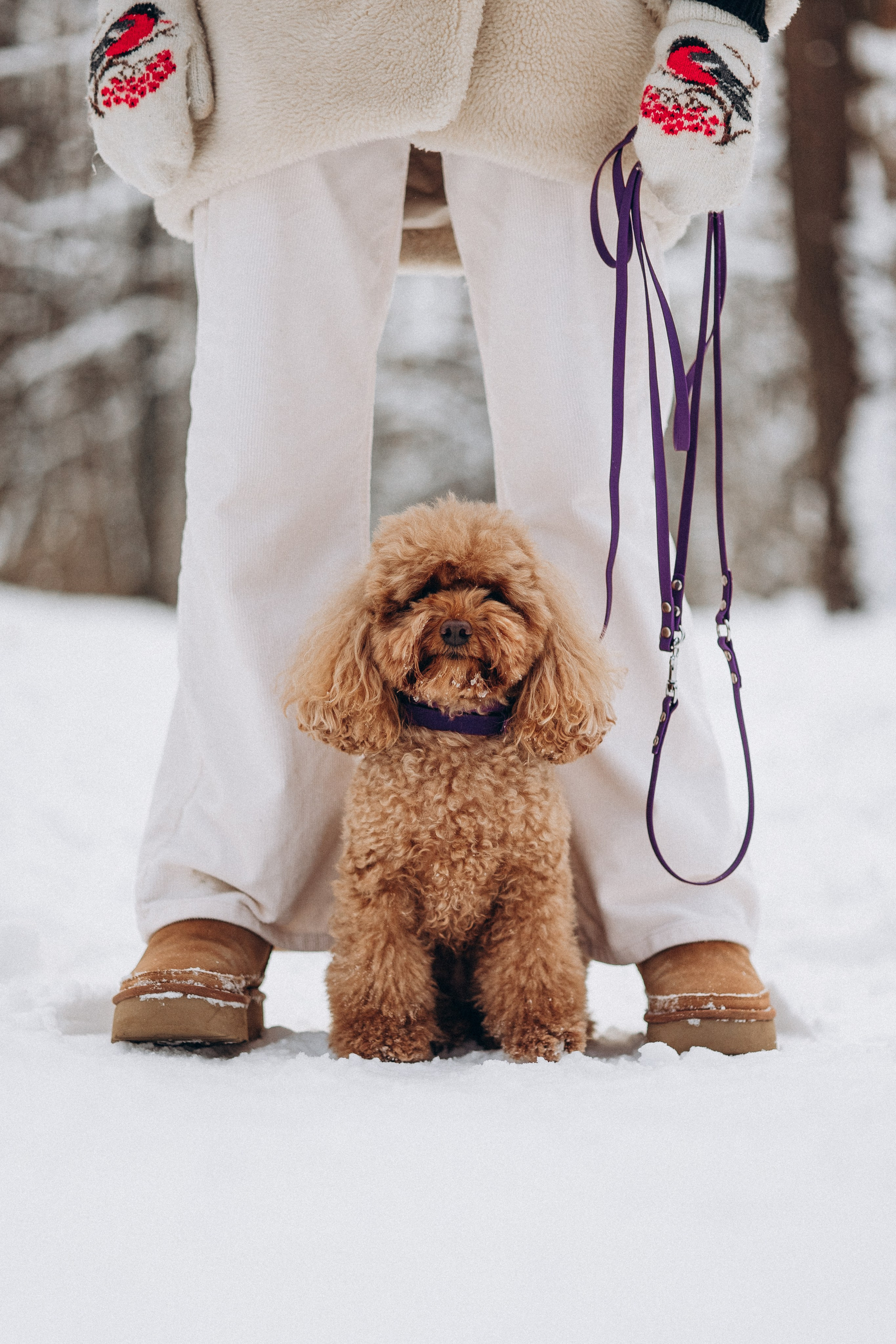 Амуниция «Бобик» 2. Фотораф — анималист Мария Шистка
