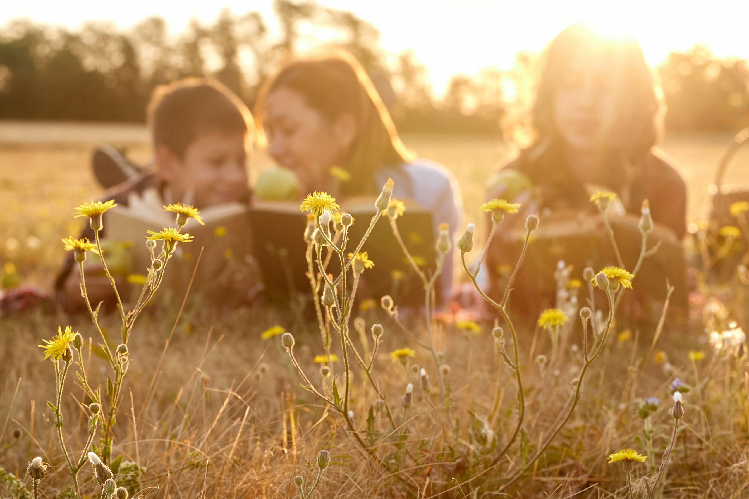 «В пять утра…». Свадебный и креативный фотограф в ЮФО и МСК