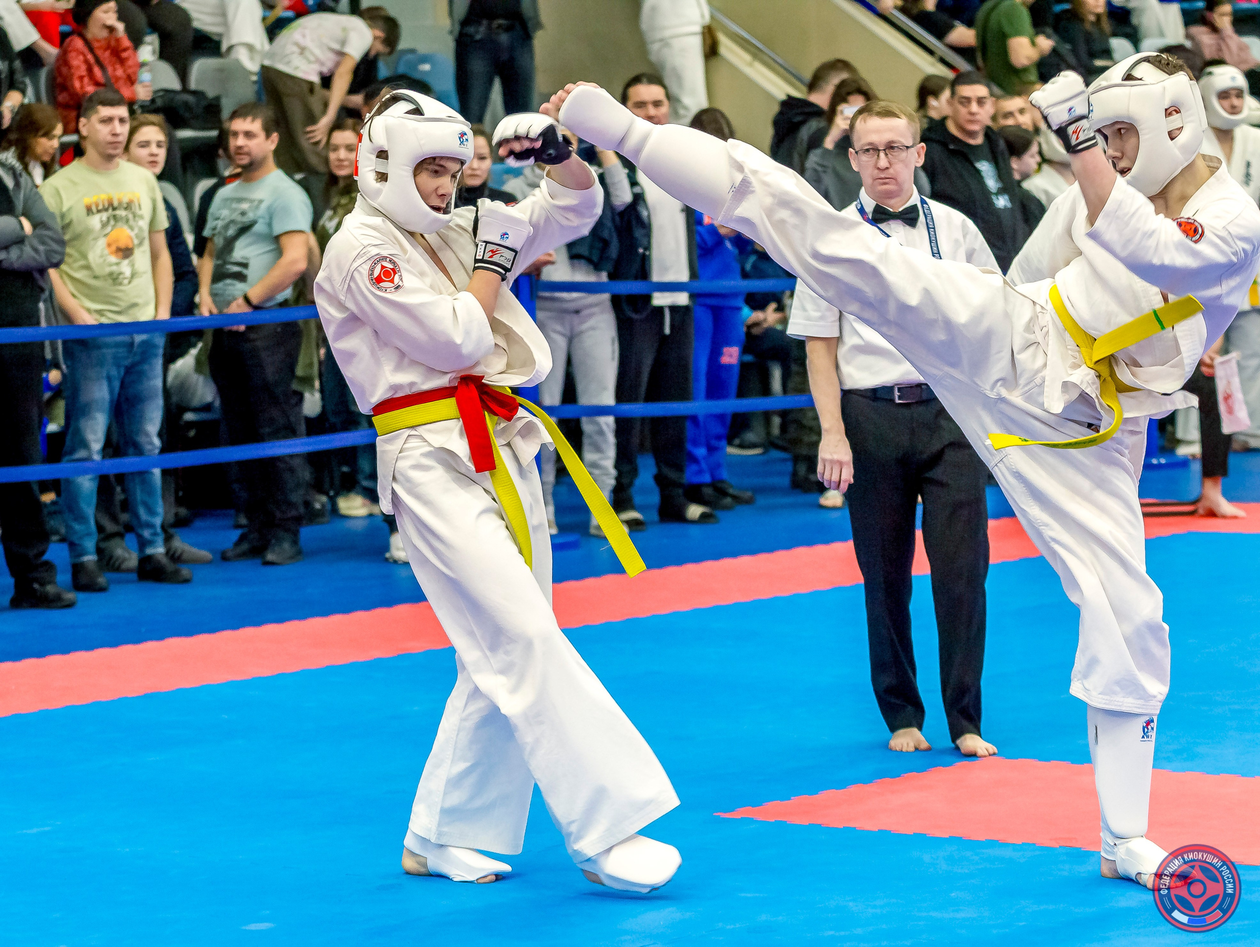 Международный турнир по киокушин «Открытый кубок Seiken». Репортажная съемка в Москве и области. Анималистика