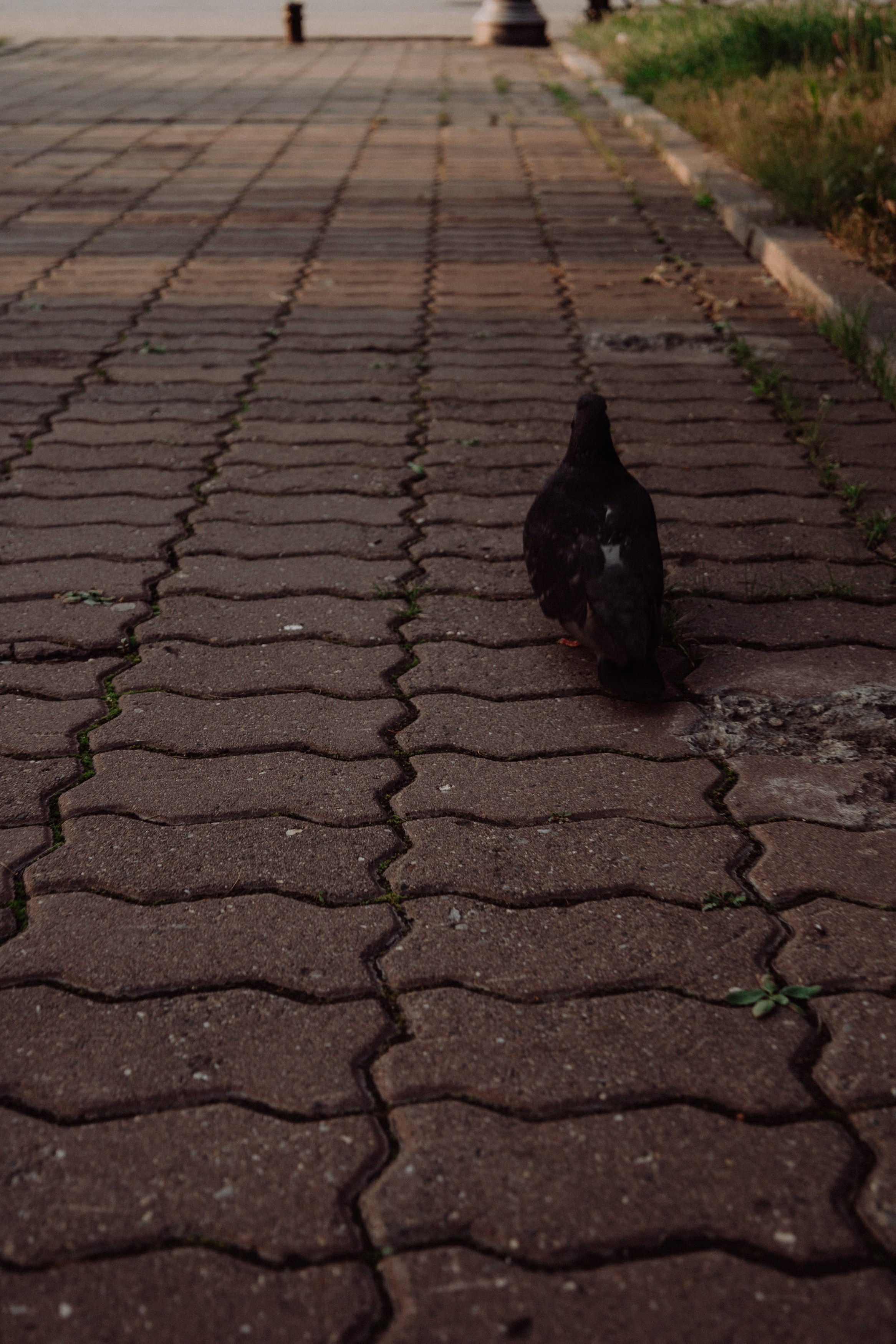 Владислав и Юлия Вечерняя прогулка по городу. Свадебный Фотограф в Иркутске Екатерина Елисеева