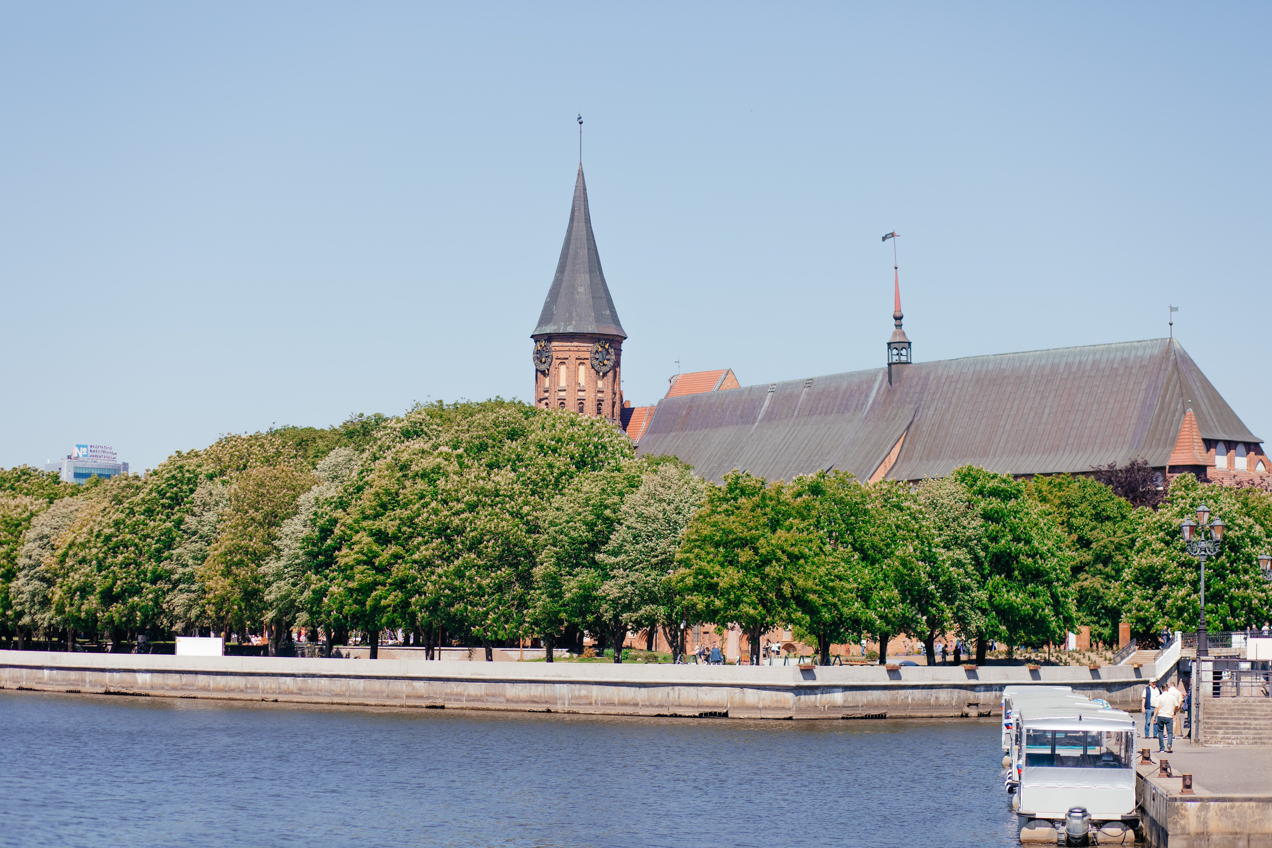 Евгения. Фотограф Амалия Ахмедова, Калининград