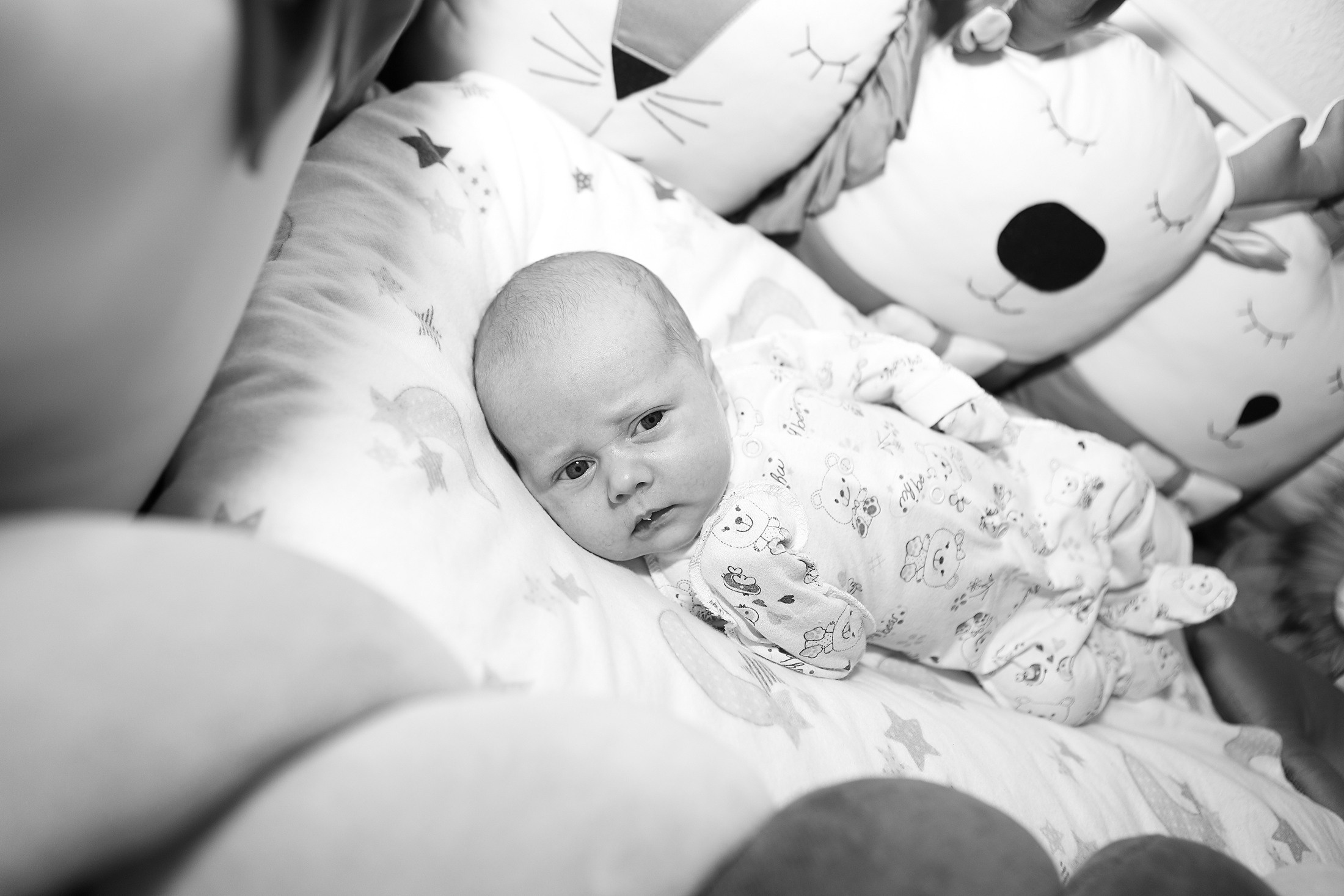 Life Style. Лев, 1 месяц. ТОПовый фотограф новорожденных newborn и беременности, Екатеринбург