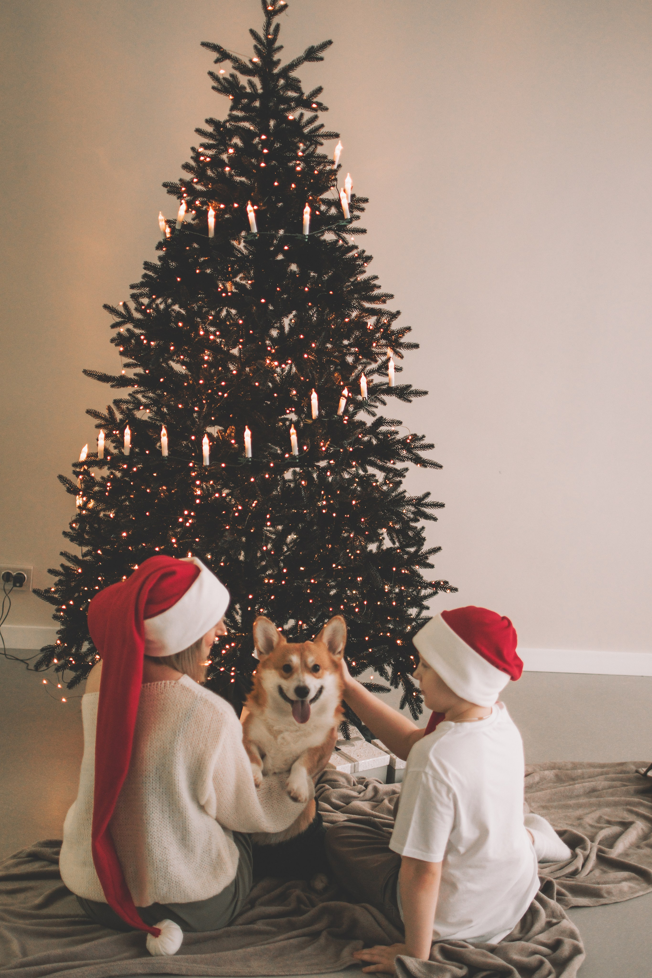 Степан и Анастасия. Семейный и свадебный фотограф Губкинский и Ставрополь