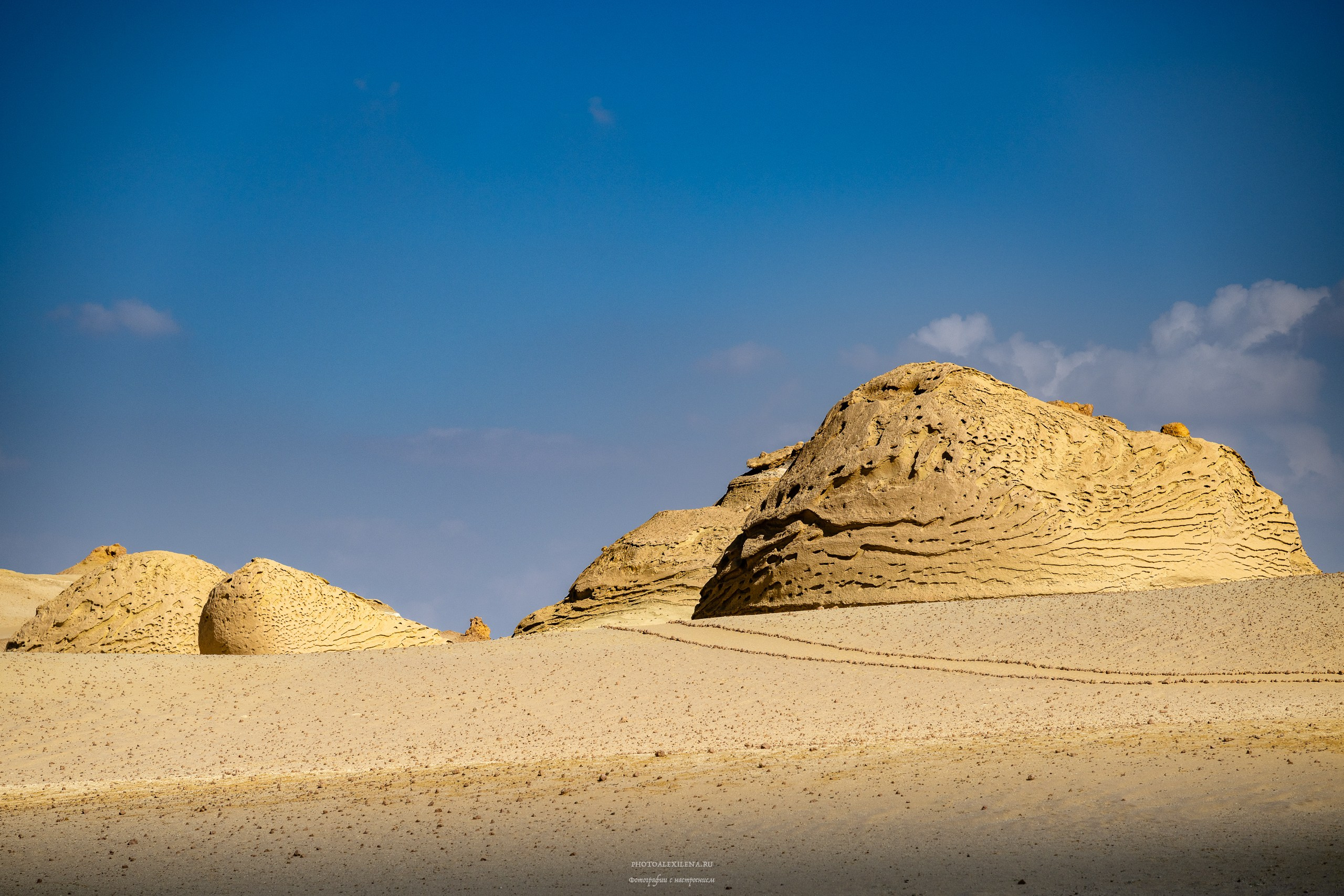 Снова в пустыню, за скелетами…. Авторские стильные фотокартины