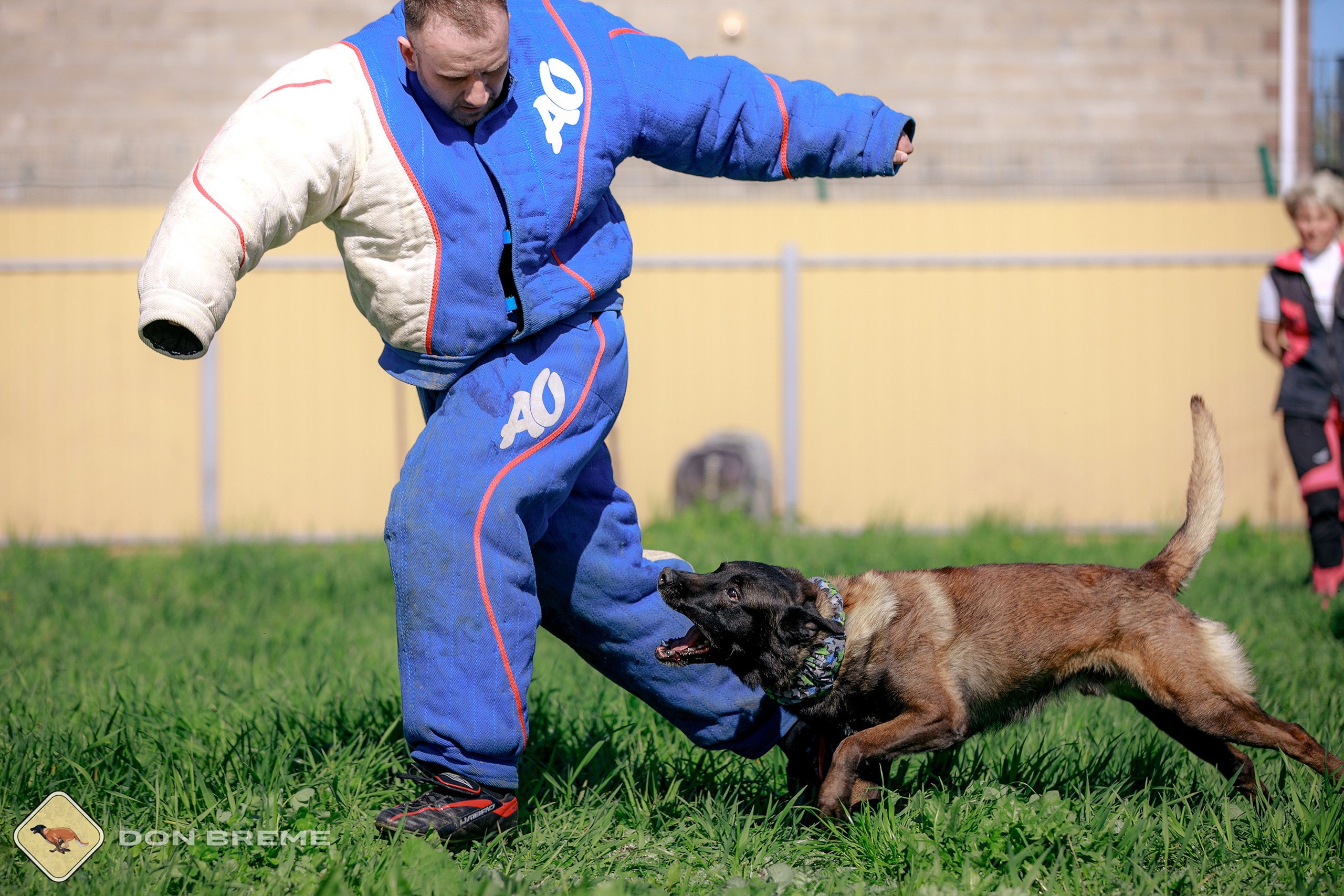 Семинар для фигурантов, день 3. Фотограф-анималист Mary Mart — Москва, Питер