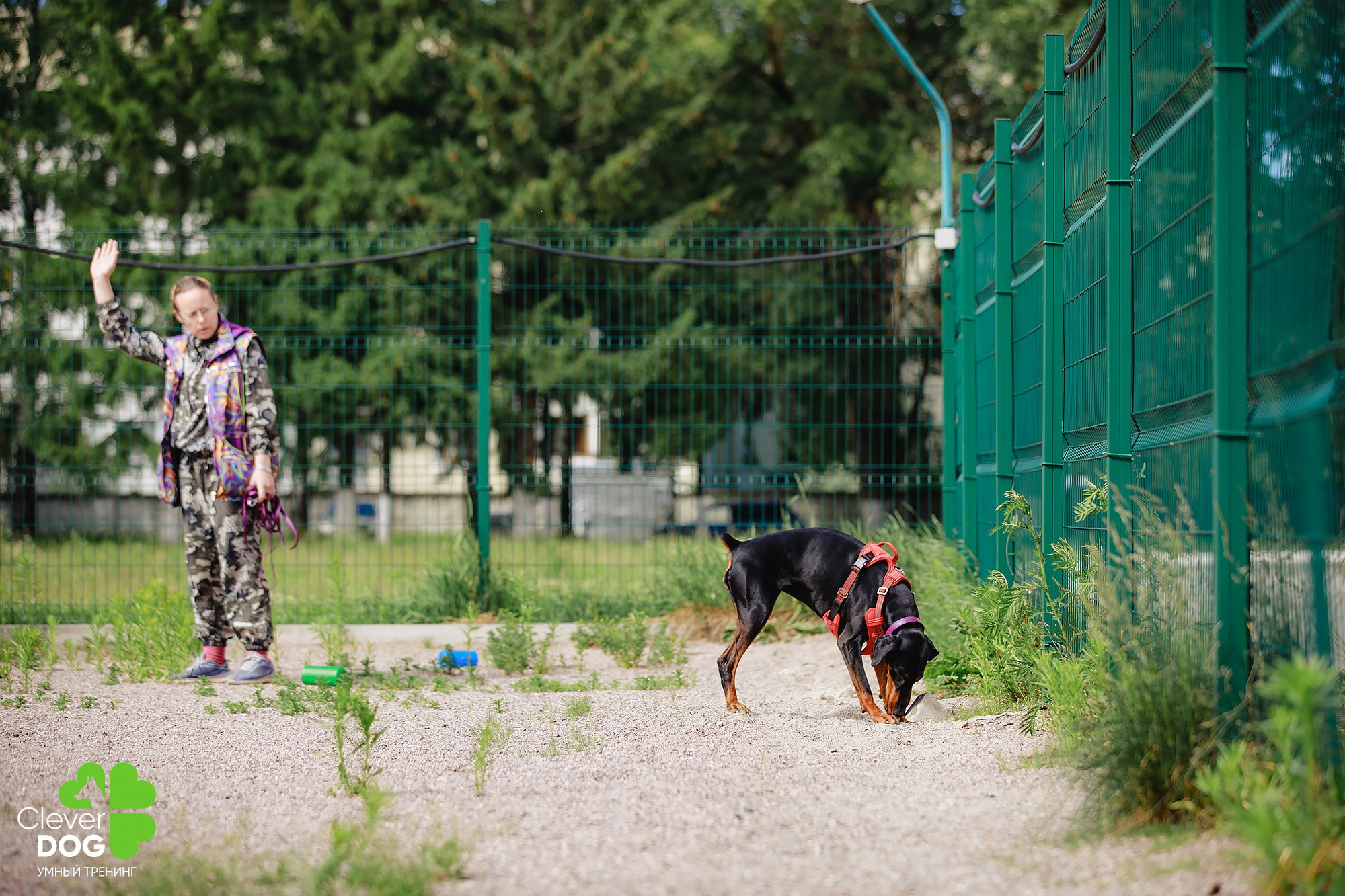Семинар по поиску запаха с Иваном Ломовым, организатор CleverDog, СПб. Фотограф-анималист Mary Mart — Москва, Питер