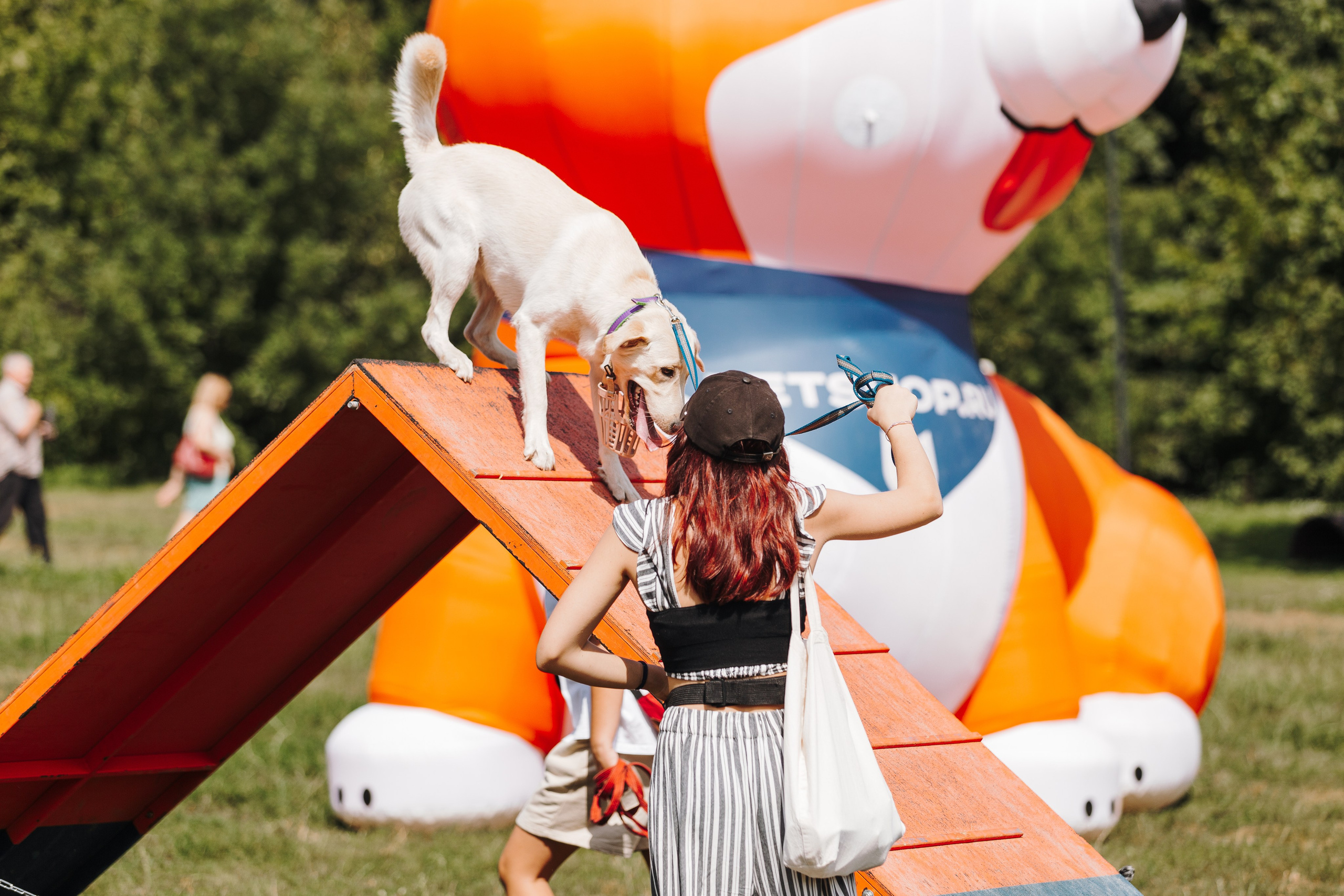 Petshop Sup day. Фотограф анималист Кристина Карпова, Москва