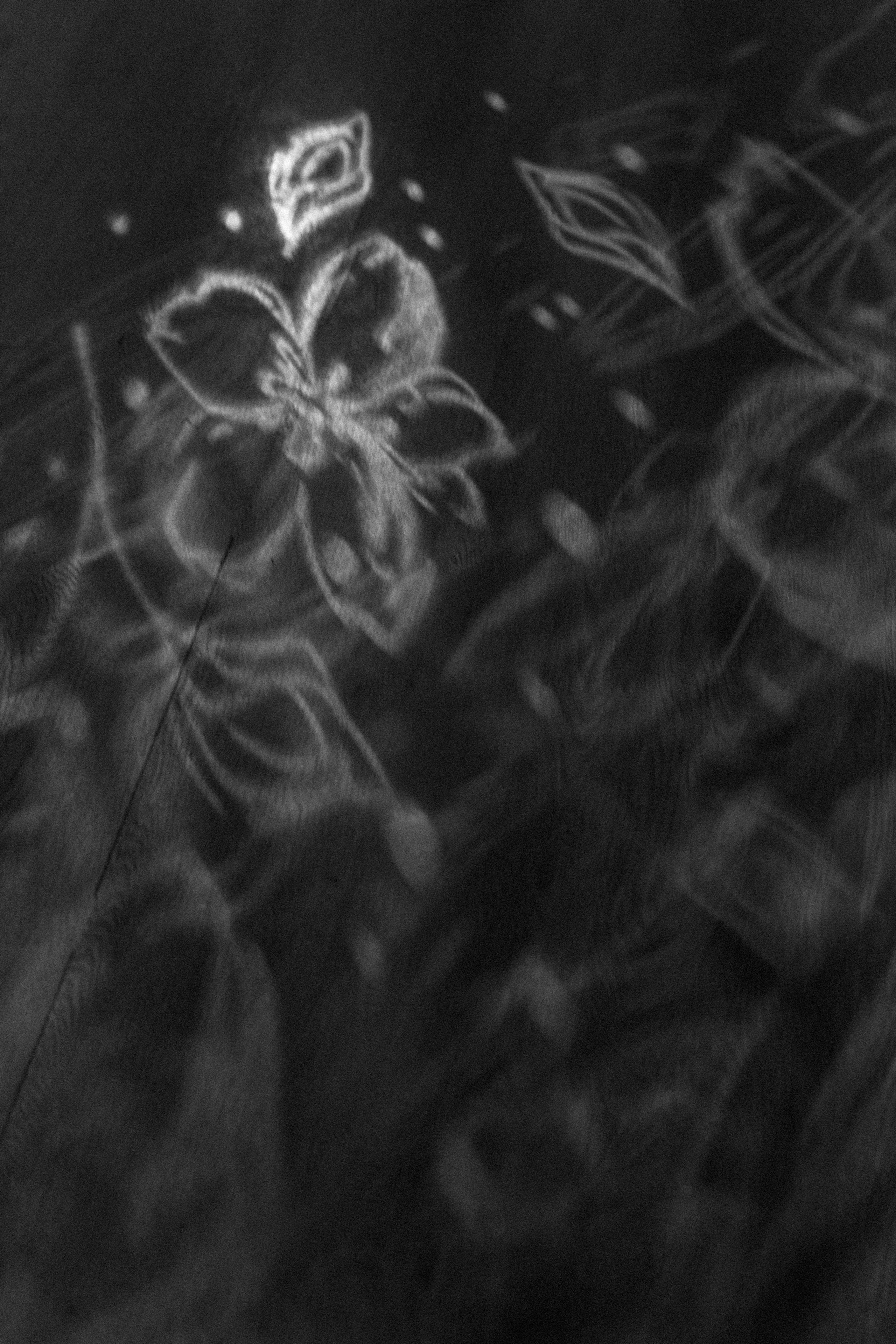 Максим и Лика. Свадебный и семейный фотограф в Новосибирске Наталья Зорина