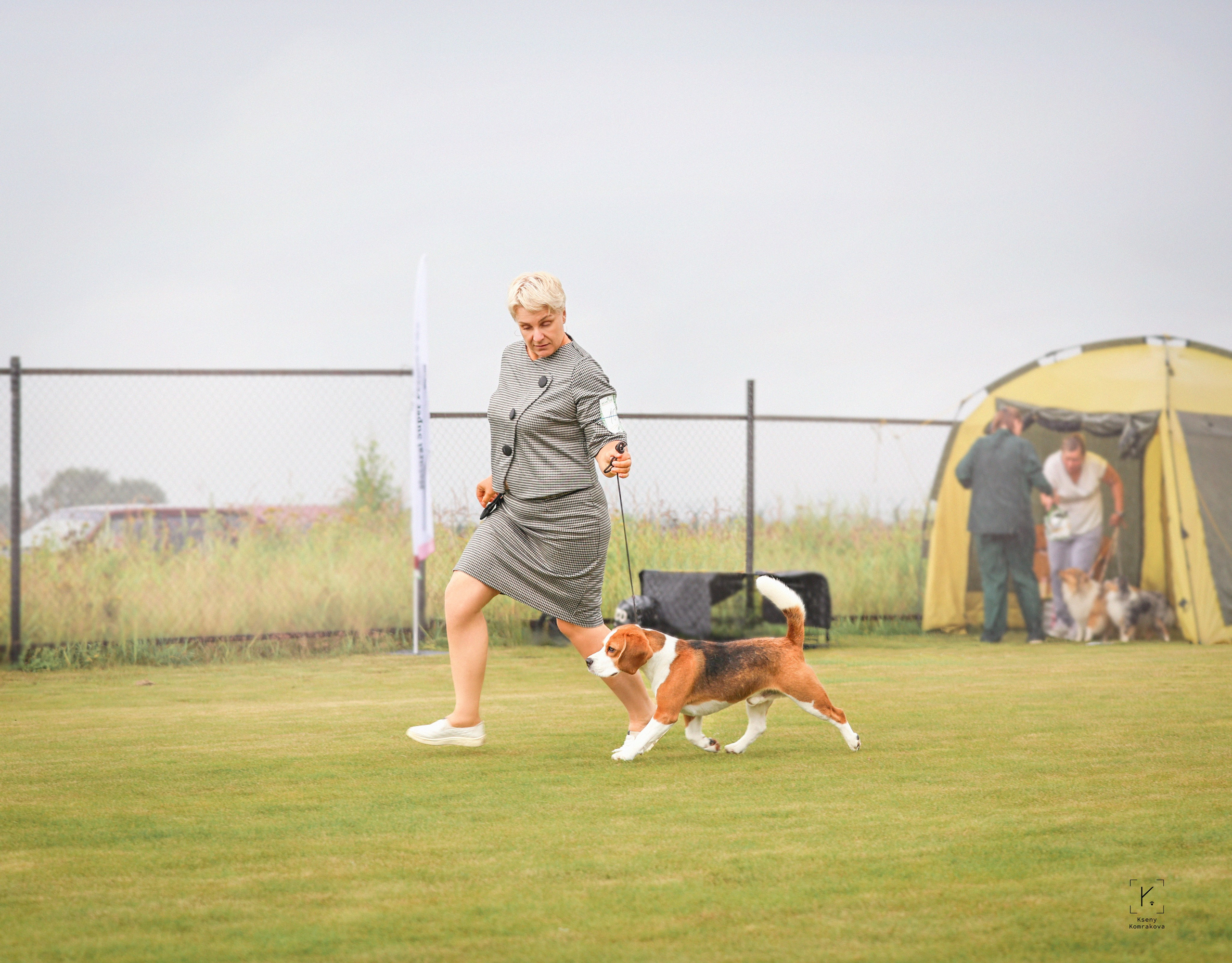 Съемка собак. Анималистика. Репортаж. Индивидуальная съемка