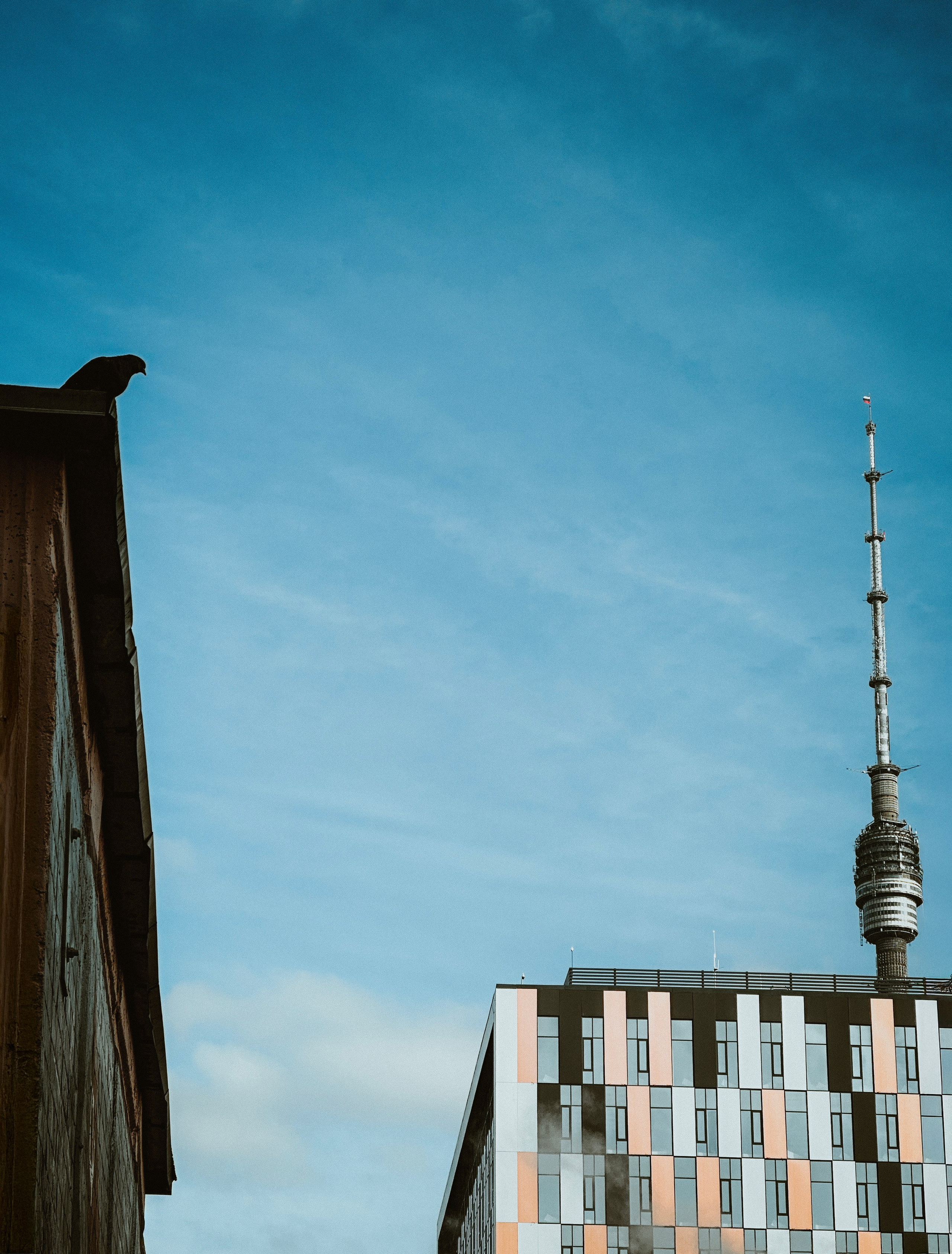 Фотографии из разных мест. Фотограф в Москве, Георгий Бучукури