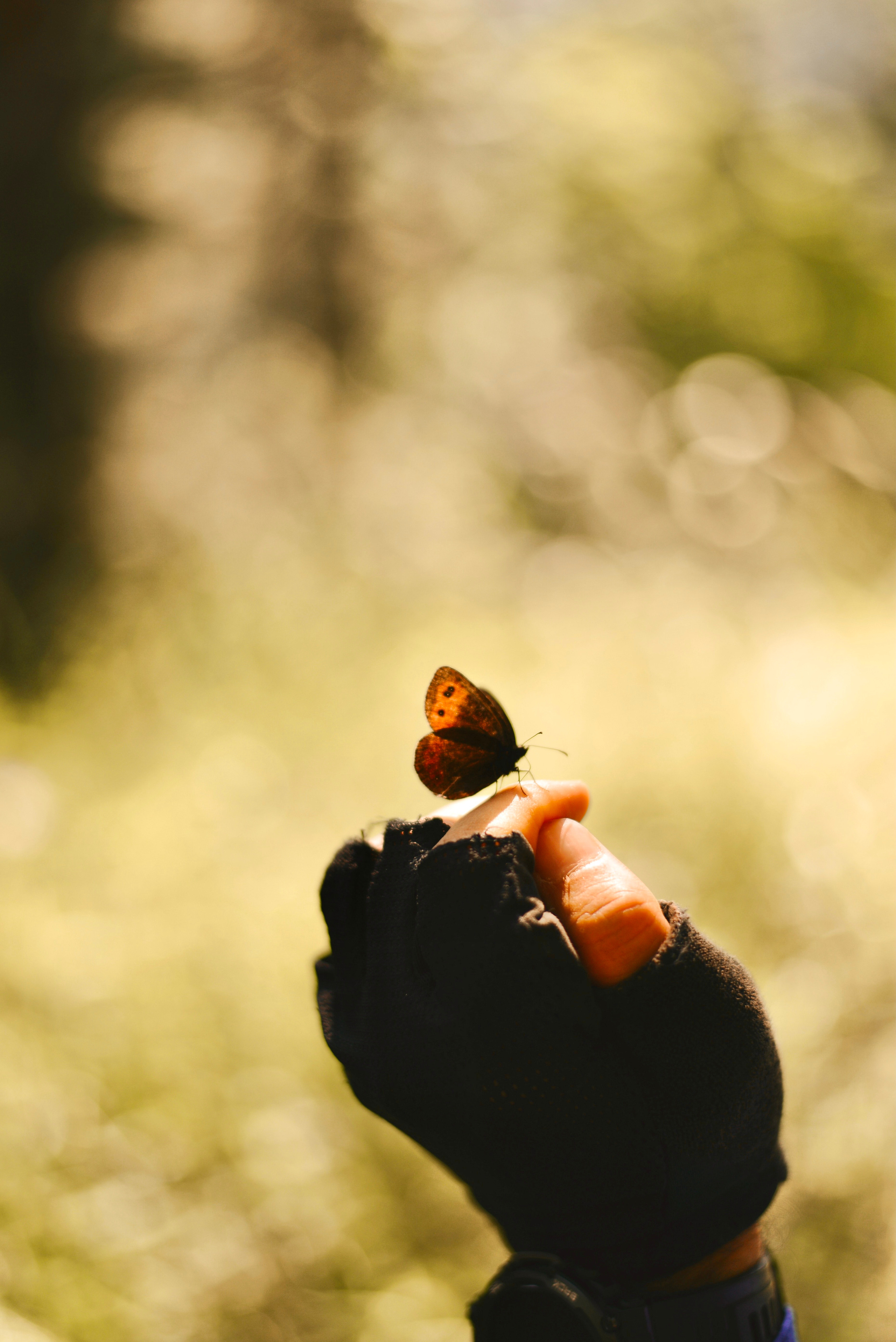 Архыз Имеретинские озера. Abakumova Viktoria