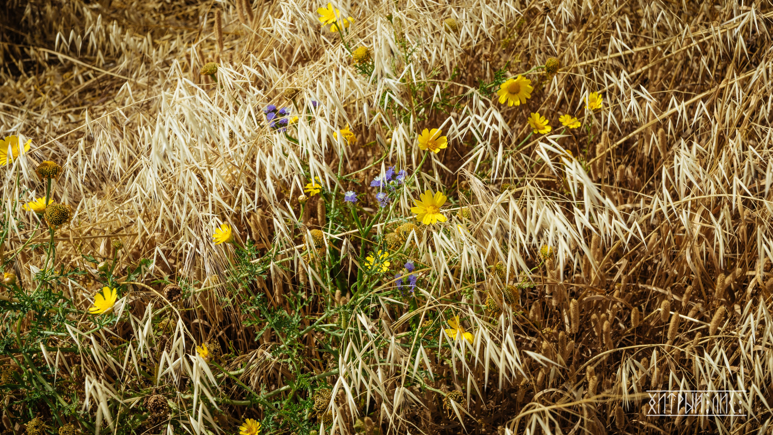 Кипр. Фотограф-путешественник Самойлов Максим «Sly Fox»