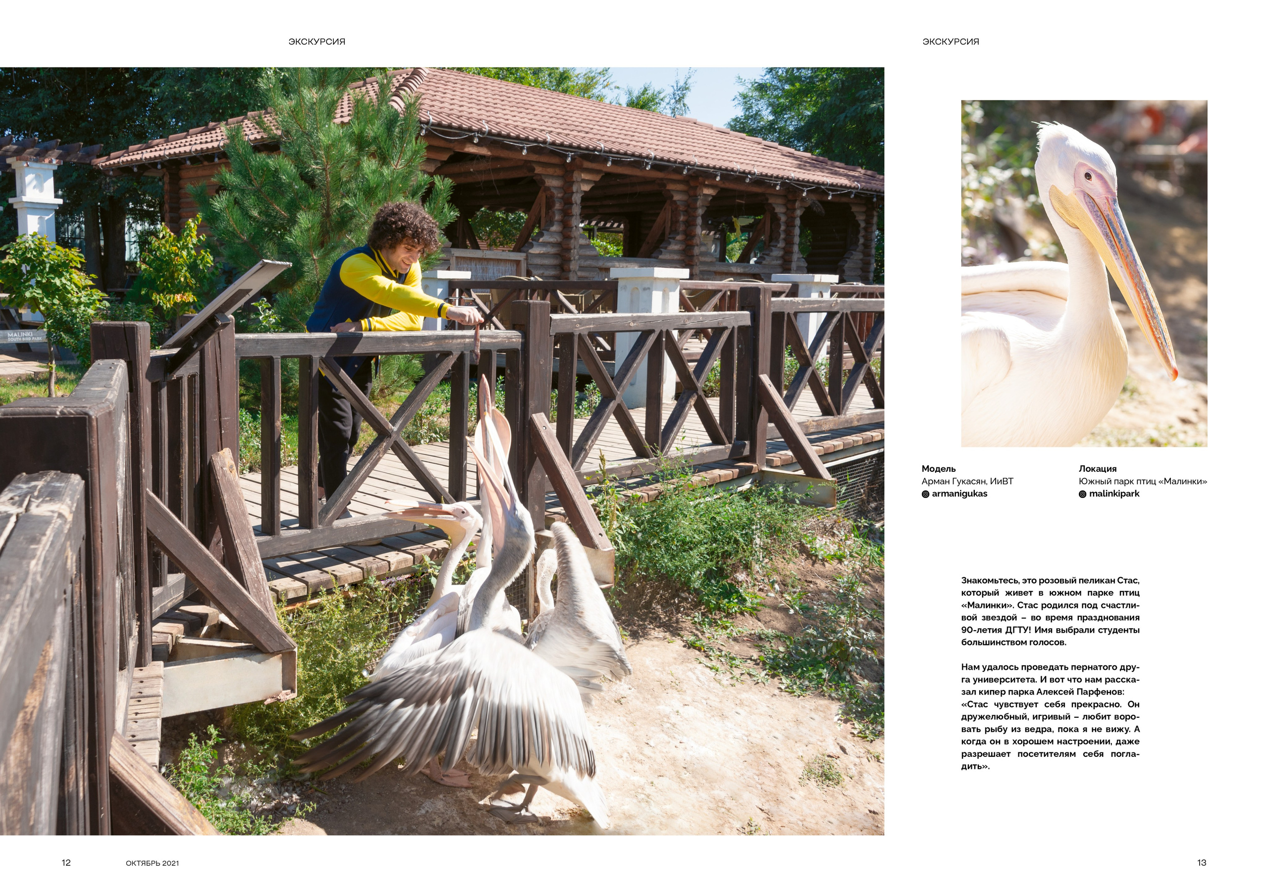 Plus One. Фотограф в Ростове-на-Дону