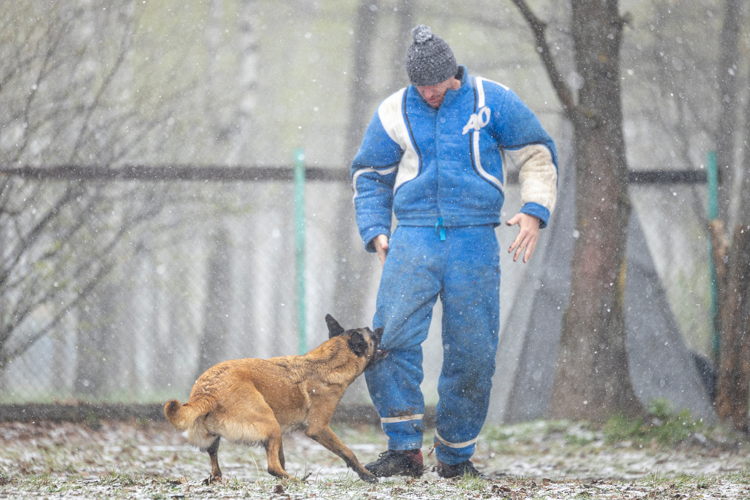 Квалификационные состязания по мондьорингу г. Вологда 11.05.24. Фотограф-анималист Анна Маринич