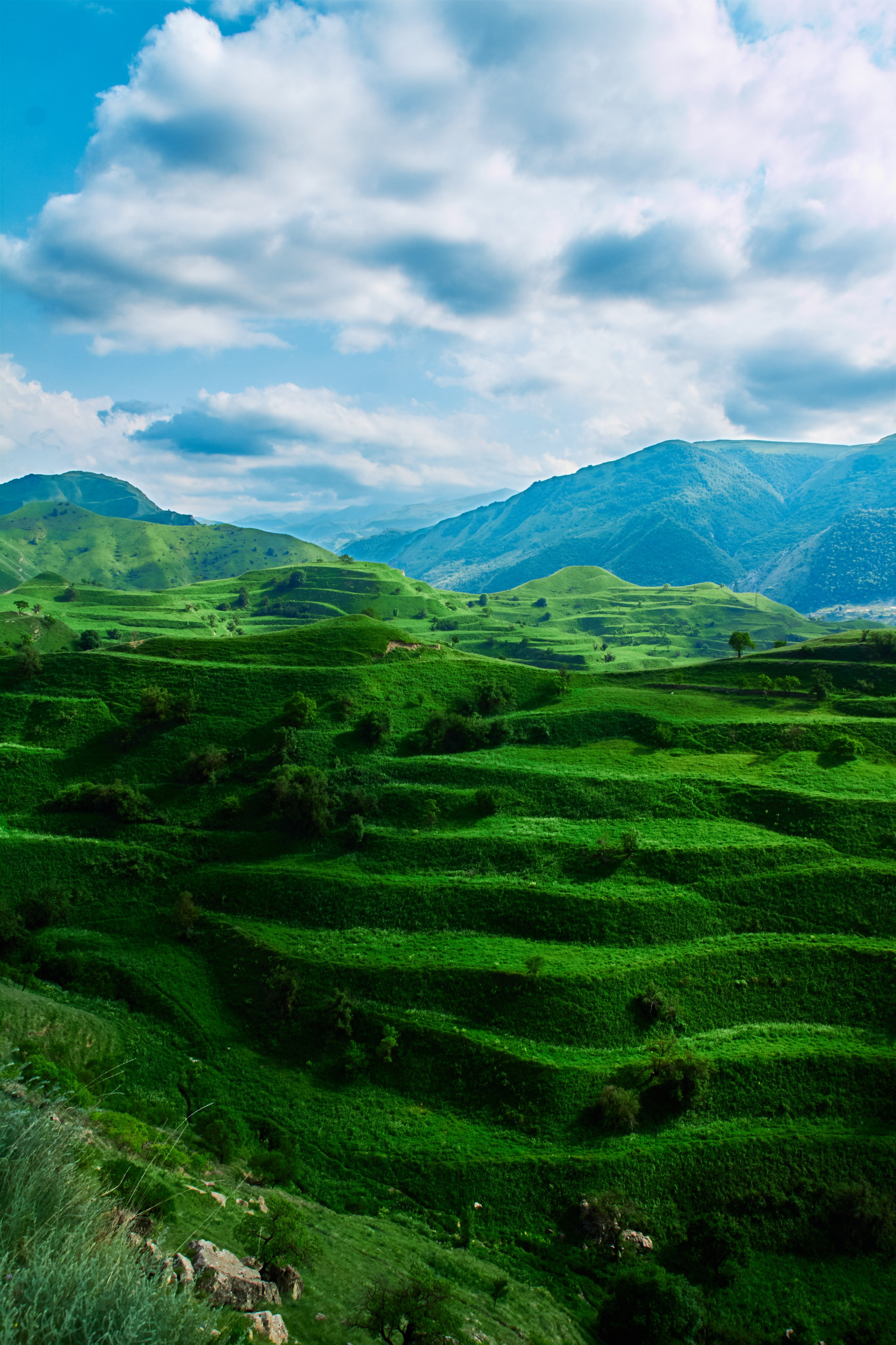Пейзаж. Репортажный фотограф | Леонид Черков