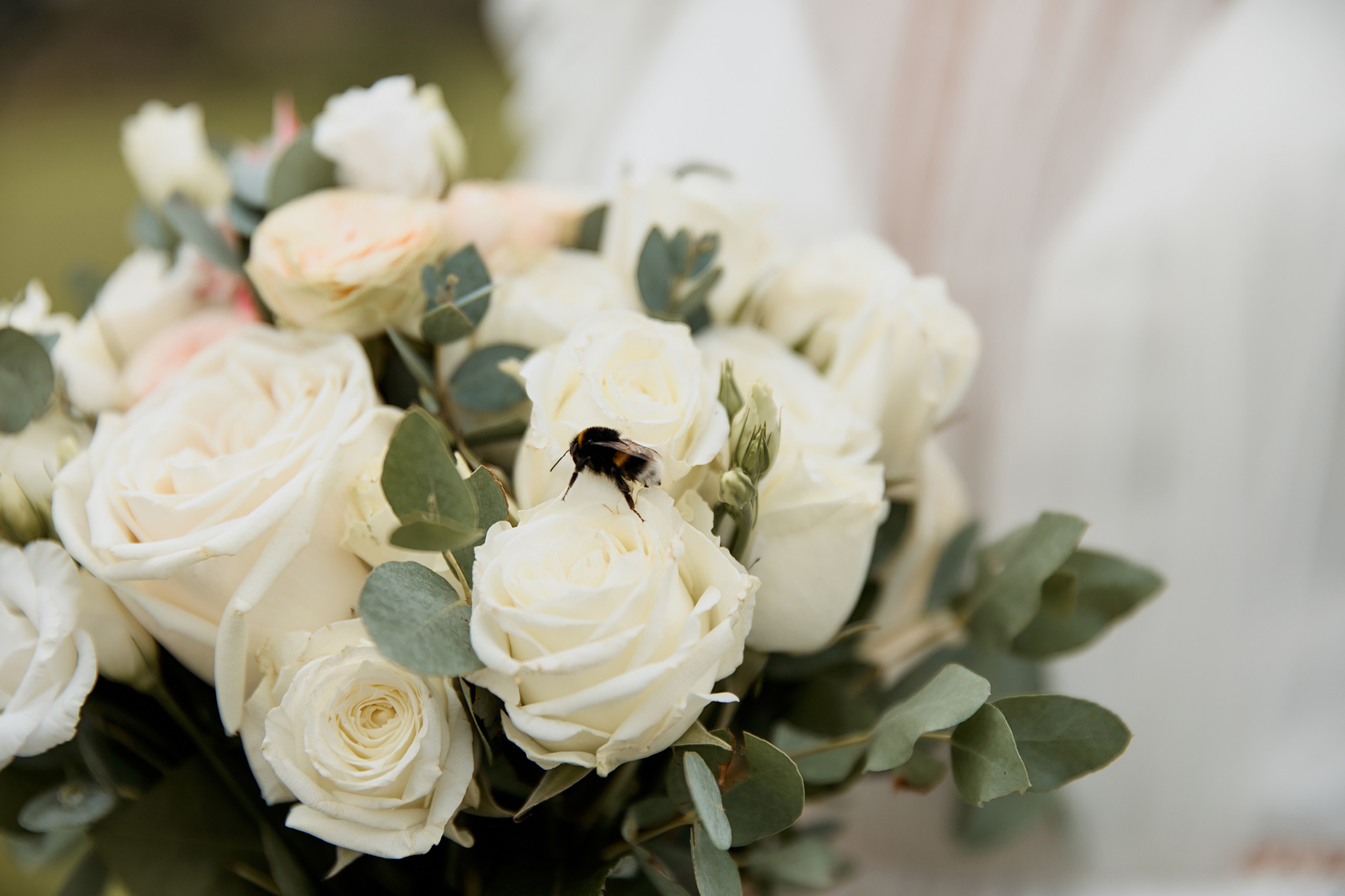 Красивая свадьба на берегу озера в Эко-Усадьбе-Никольское. Свадебный и семейный фотограф в Ярославле и Рыбинске Вячеслав Барышков